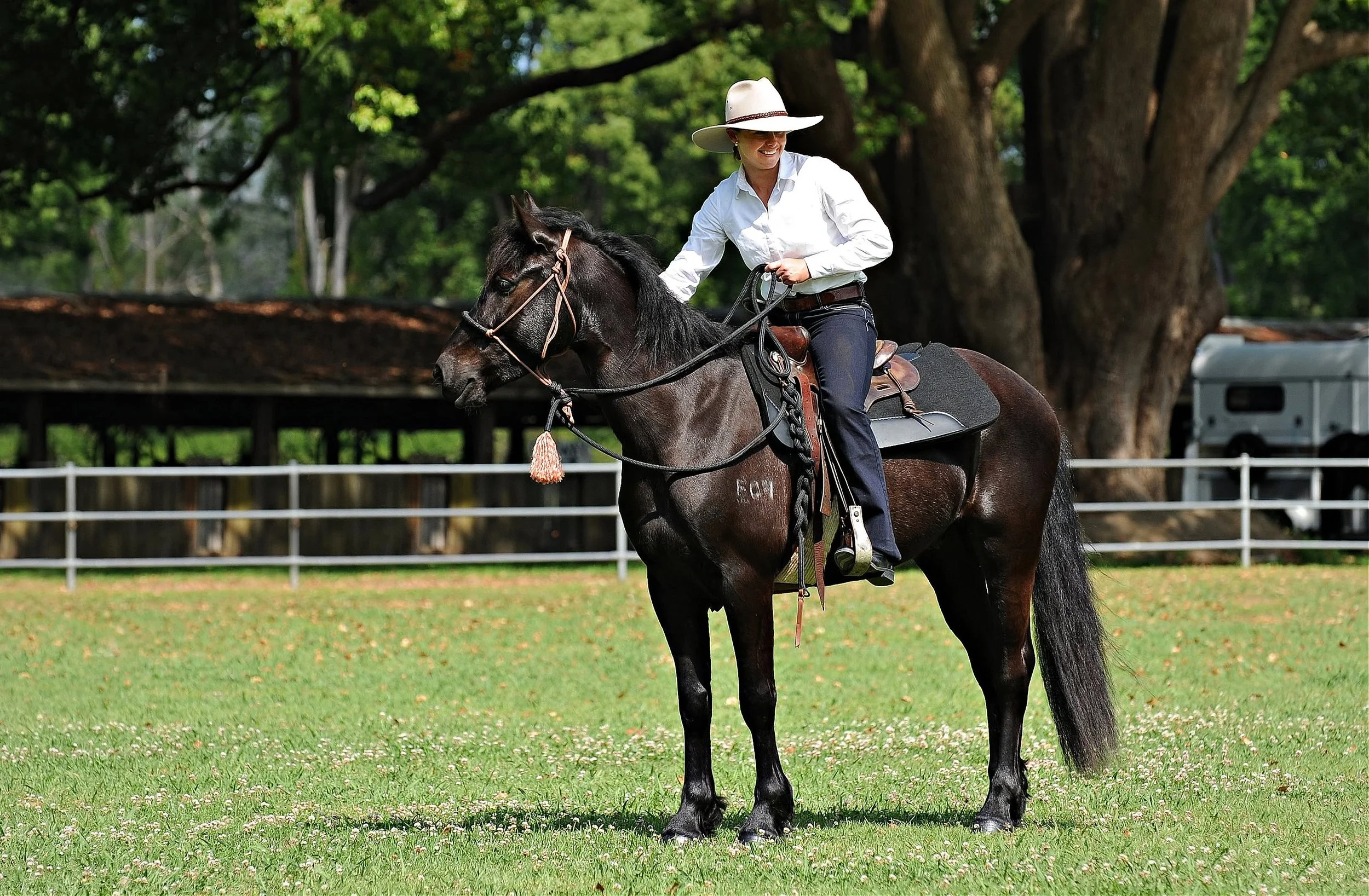 Horse trainer, Kate Young, with her brumby, Legacy.