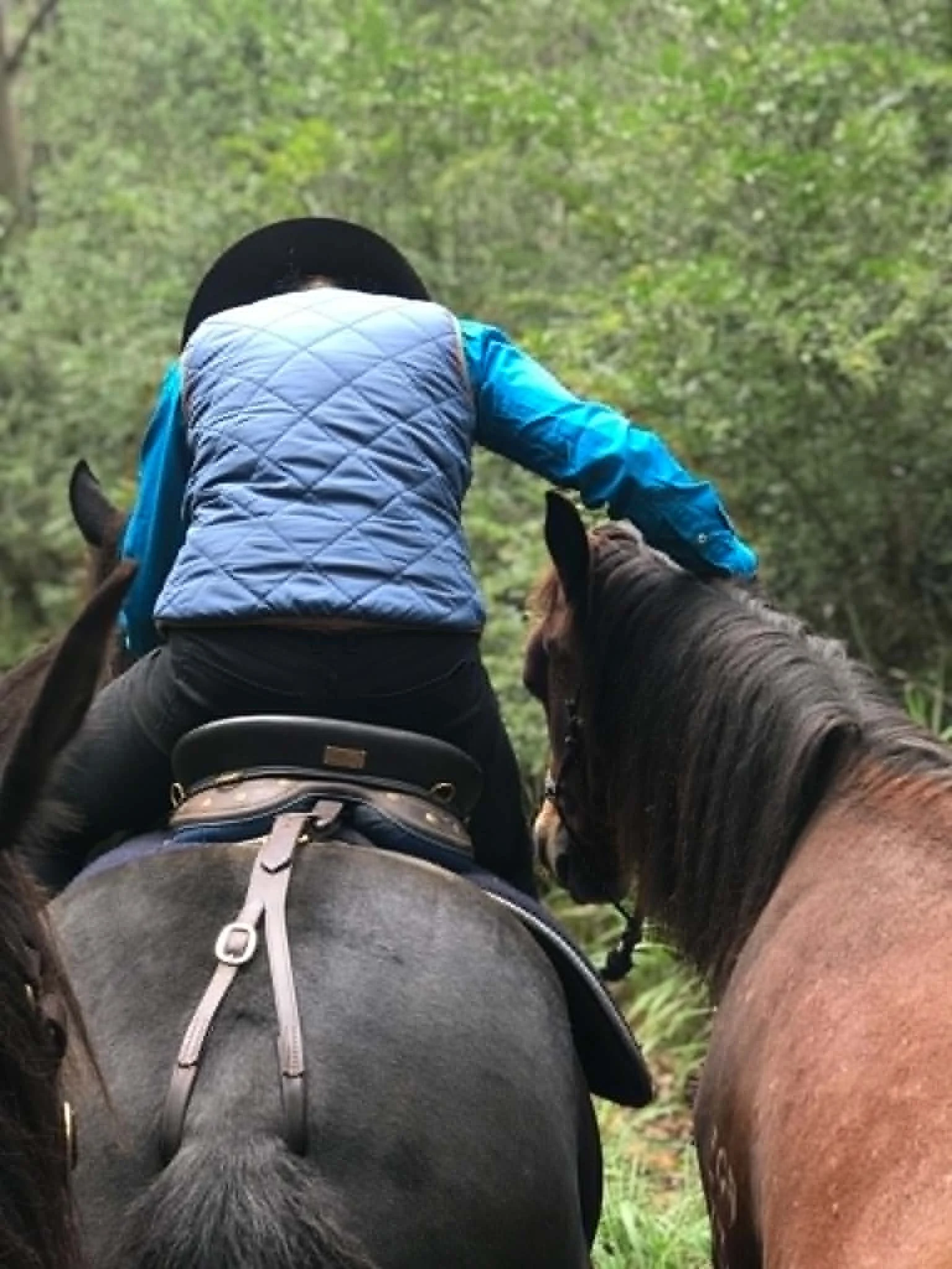 Kate Young with two horses