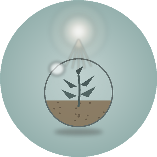 Illustration of a seedling growing, representing renewal and growth.