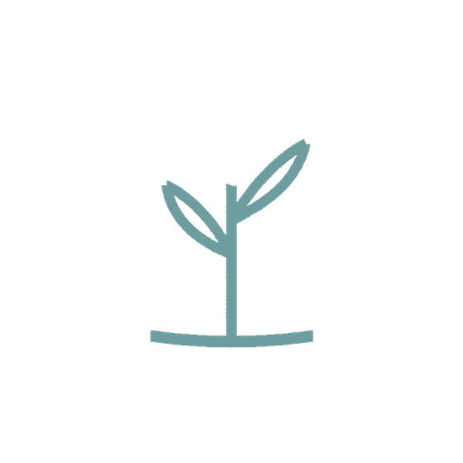 Icon of a young plant symbolising personal growth.