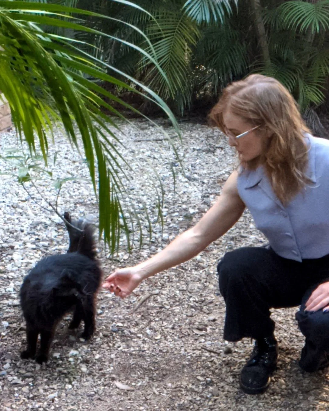 Phoebe crouches down outside to offer her hand to a fluffy black cat, surrounded by lush green palm fronds and other tropical foliage. Phoebe wears clear-framed glasses, a light blue sleeveless vest, loose black pants and sparkly black boots.