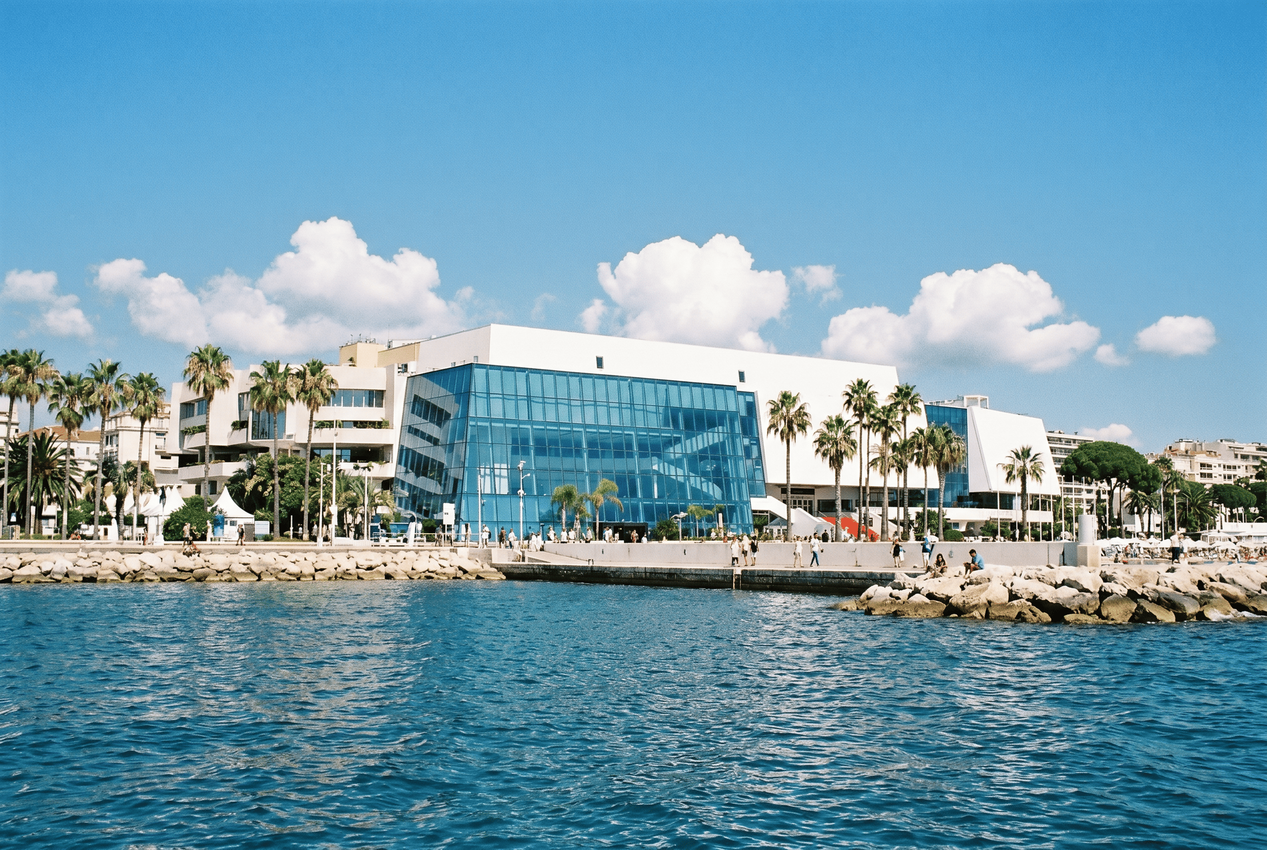 A modern building with large glass windows and white walls, surrounded by palm trees, located along a marina or waterfront with water and rocks in the foreground, under a blue sky with scattered clouds.