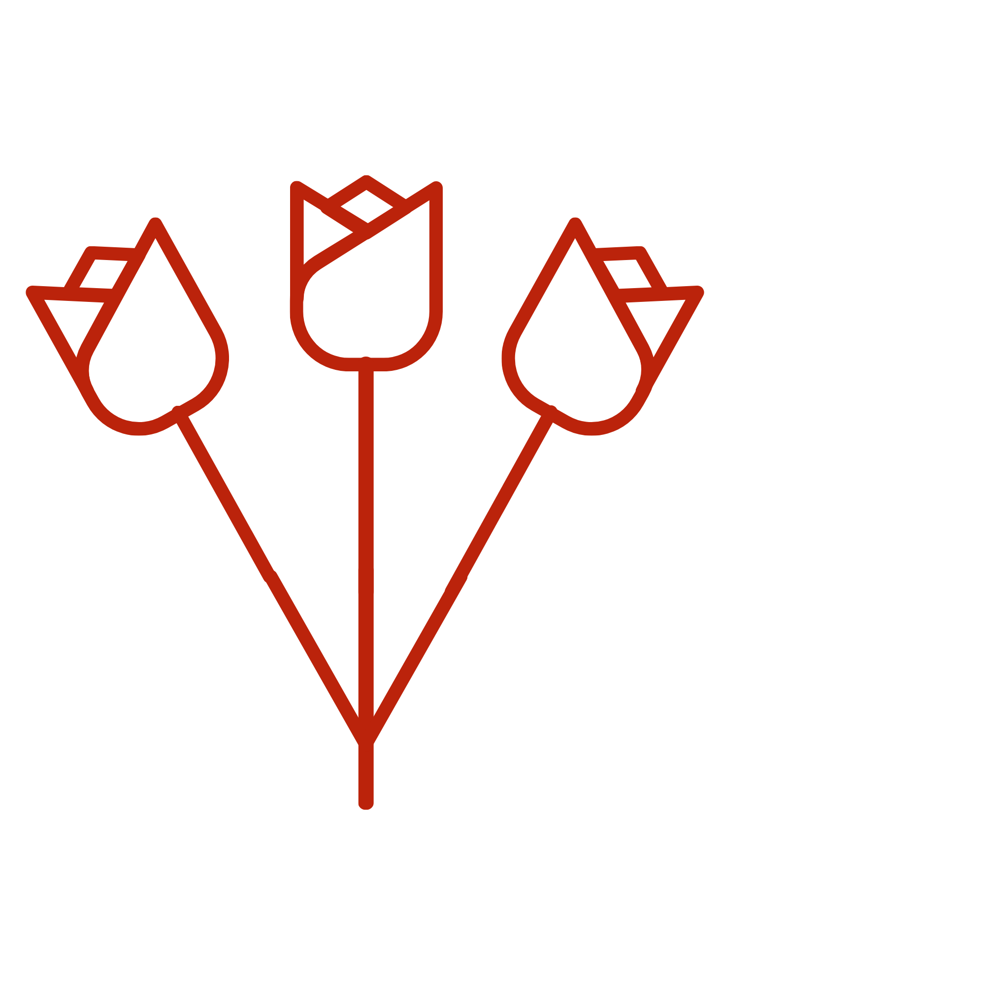 illustration of six flowers with stems and leaves, drawn in red outline 