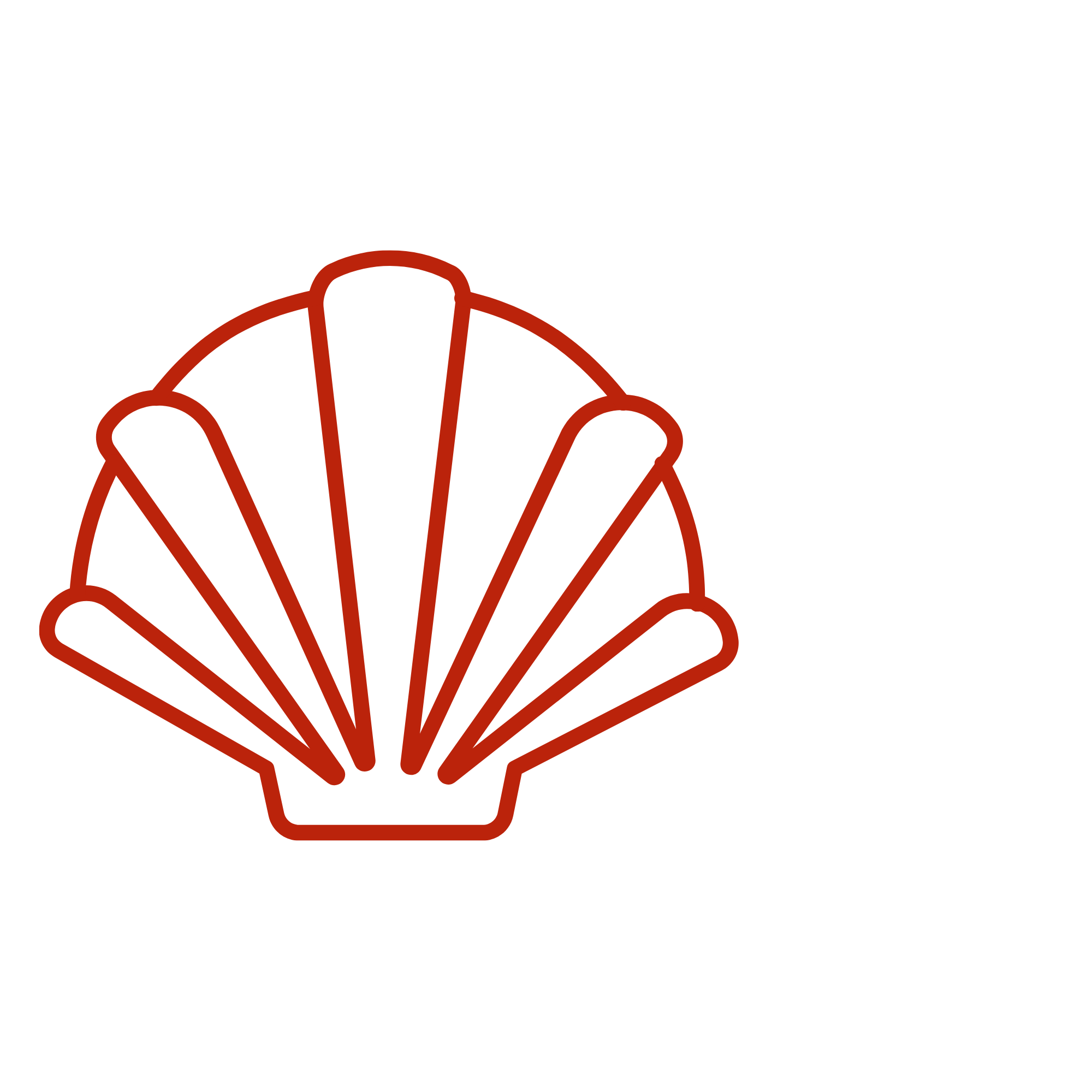 A minimalist line drawing of a seashell