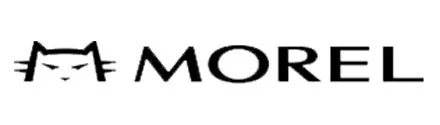 MOREL Eyewear Southwell