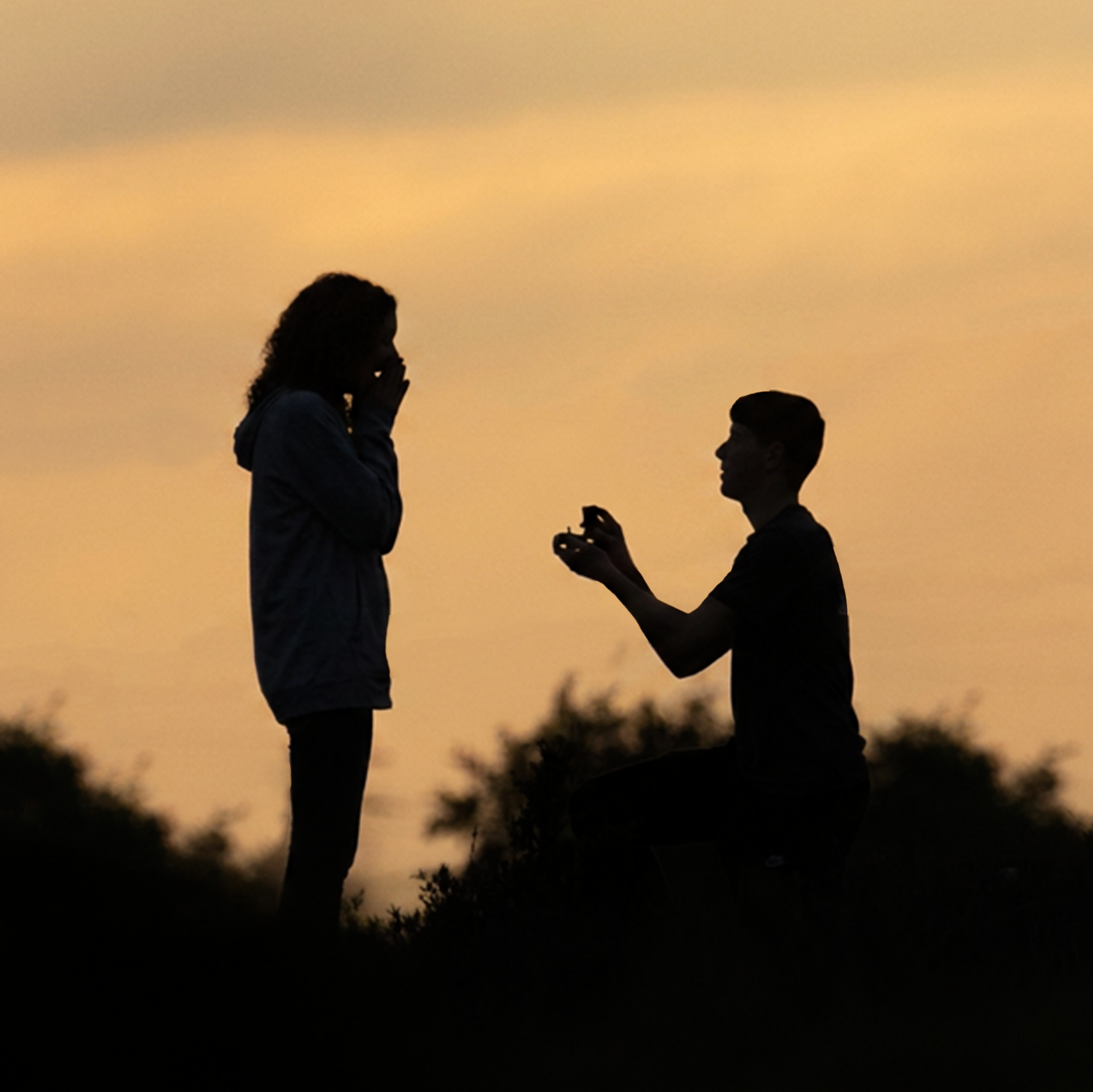 Proposal.png