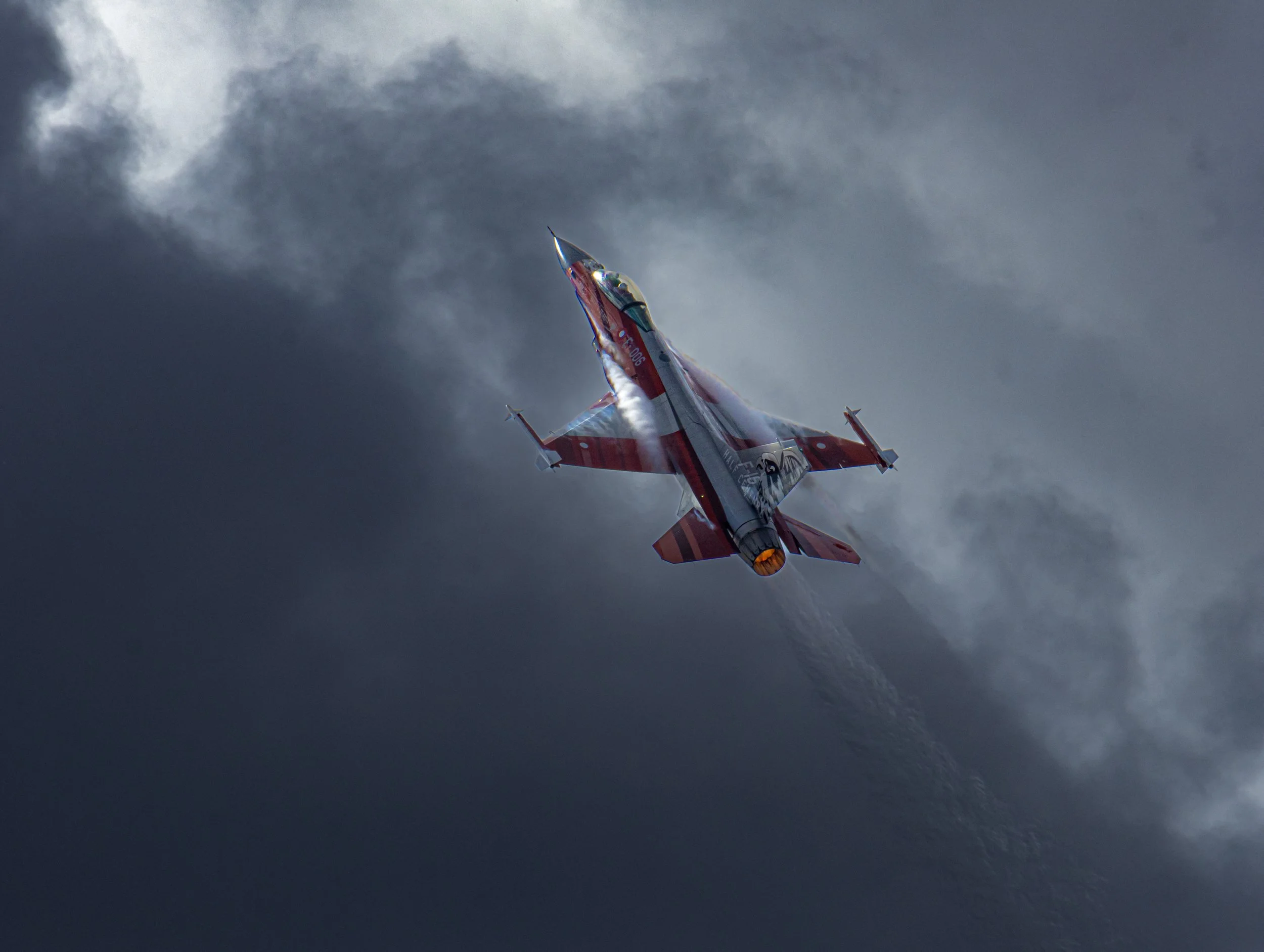 F16.jpg