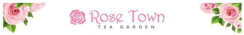 draft+html+email+rose+town+white+frame.png