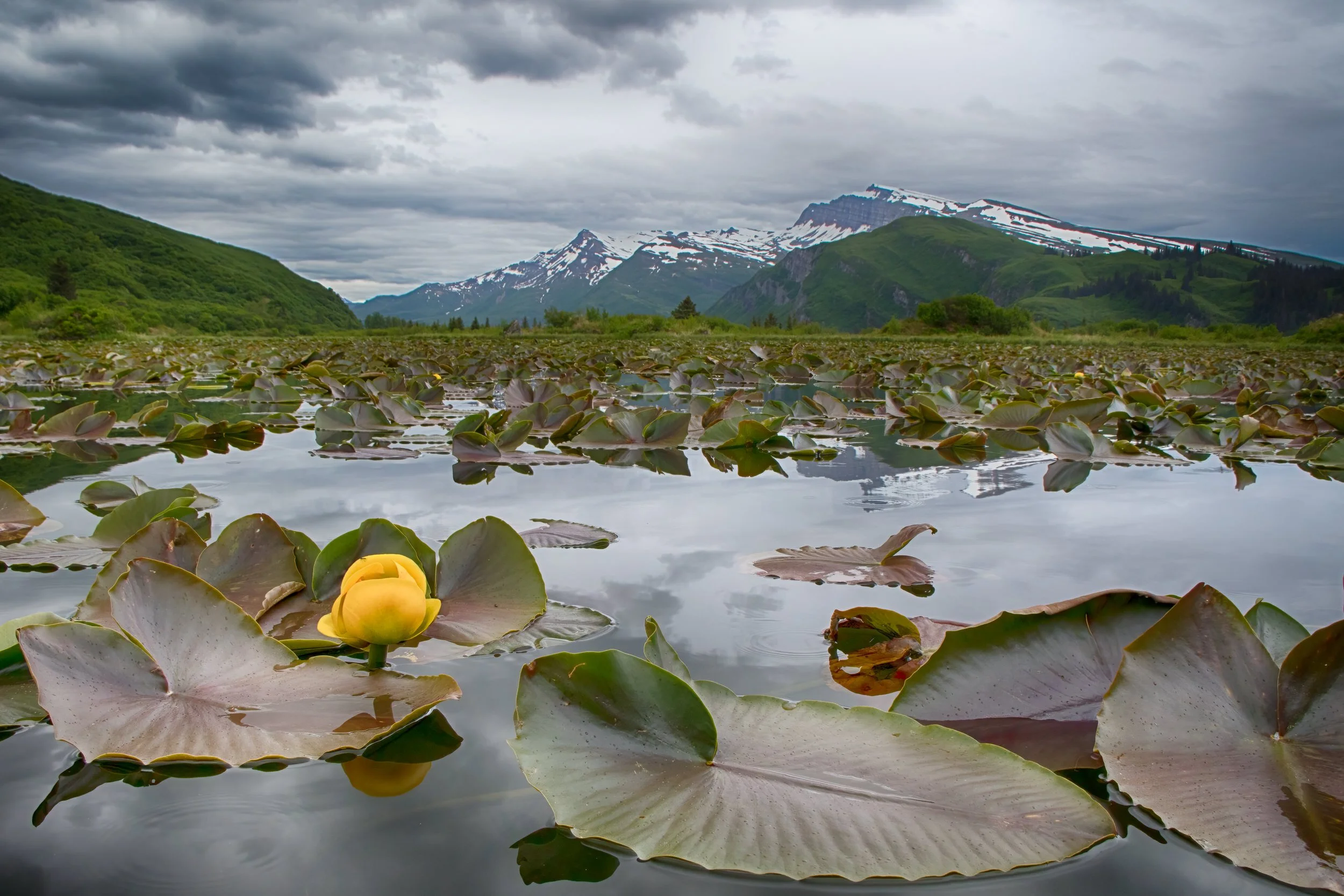 Silver Salmon Lake & the Chigmit Mountain Range, Alaska.