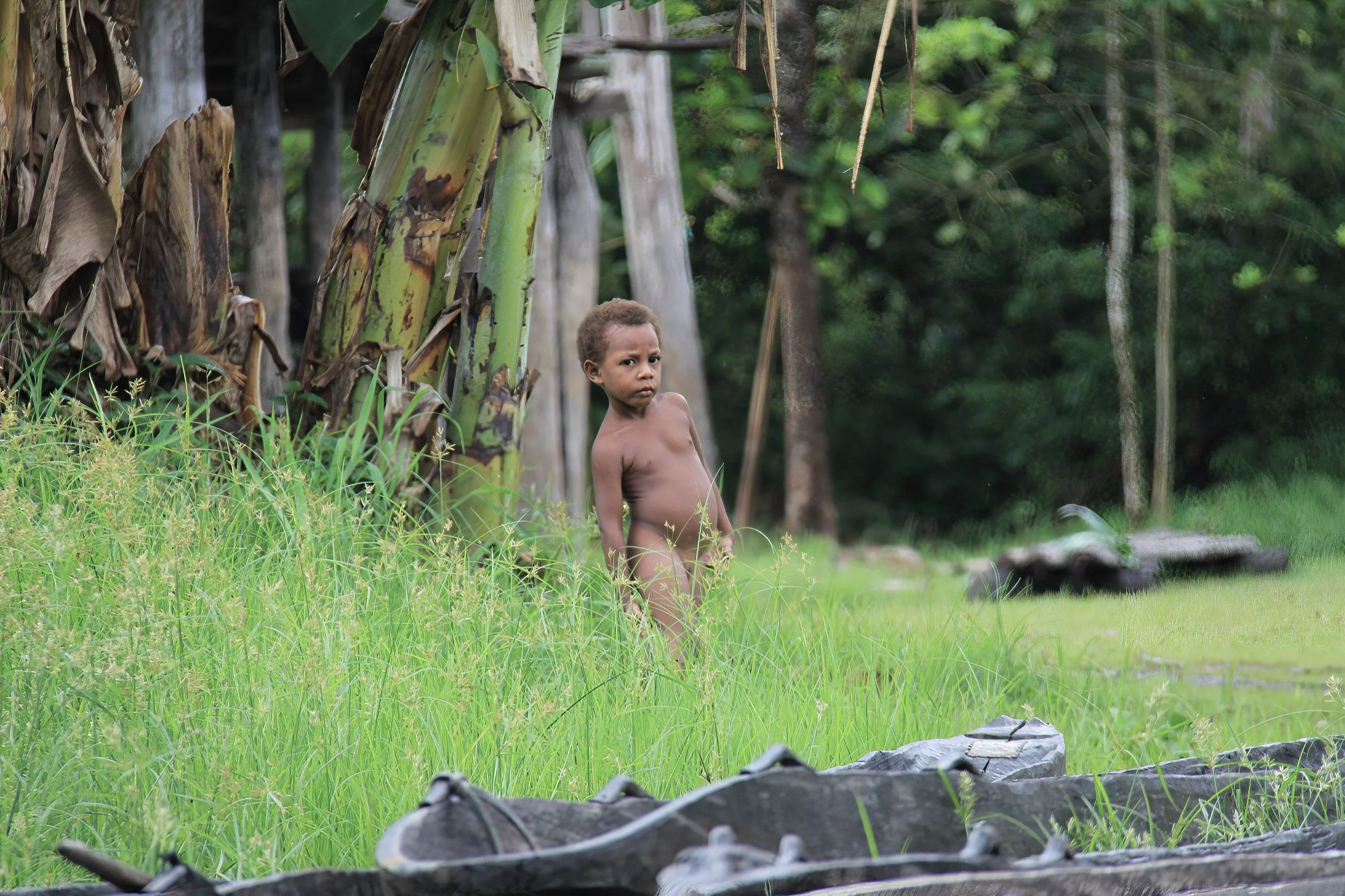 Young boy at remote Palebai village in East Sepik Province, Papua New Guinea.