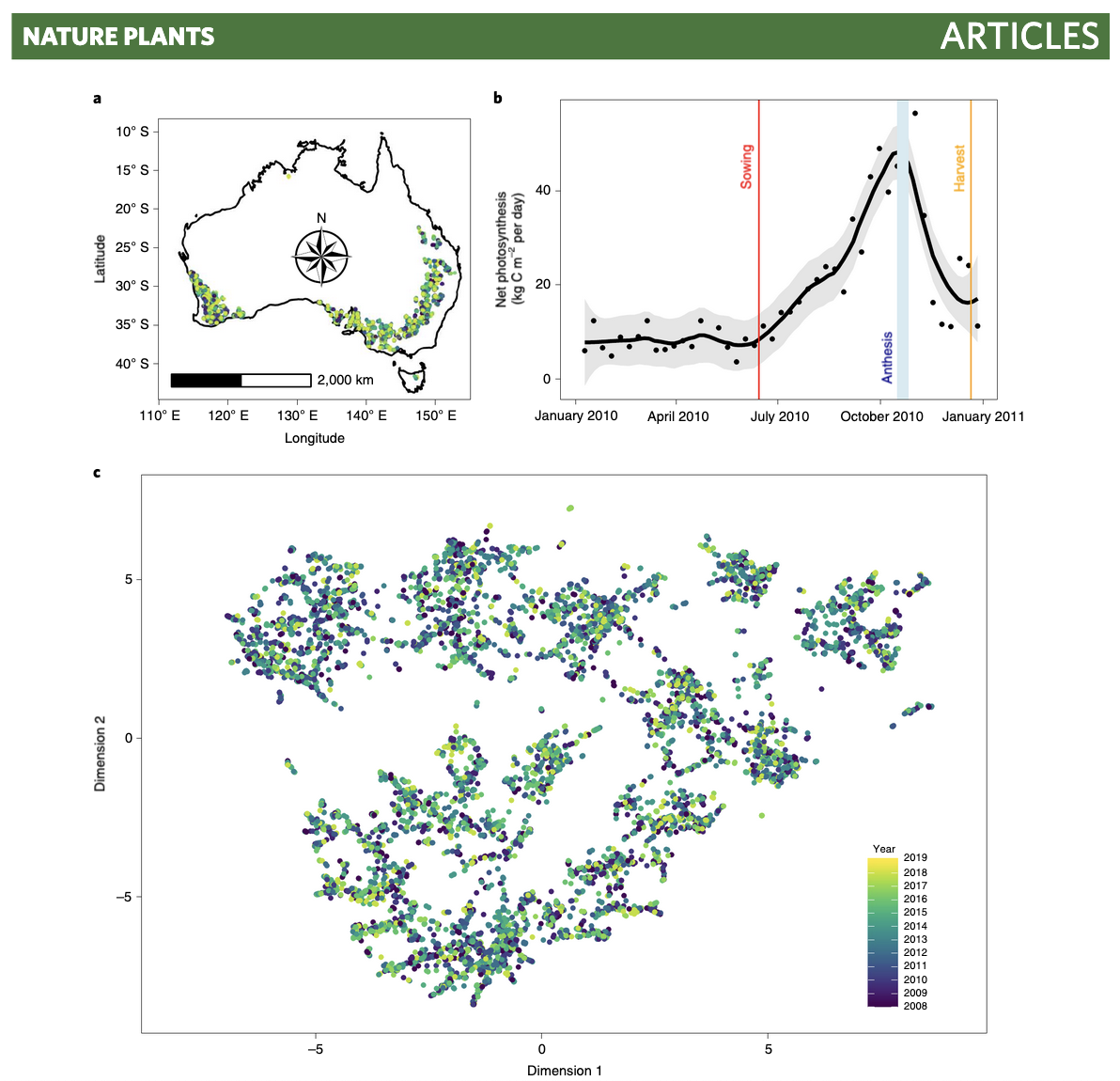 A scientific illustration with three panels. The top left panel shows a map of Australia with green dots indicating data points, and a scale bar of 2,000 km. The top right panel is a line graph showing net photosynthesis over time from January 2010 to January 2011, with marked phases of Sowing, Antheisis, and Harvest. The bottom panel is a scatter plot of data points colored by year from 2008 to 2019, with two axes labeled Dimension 1 and Dimension 2.