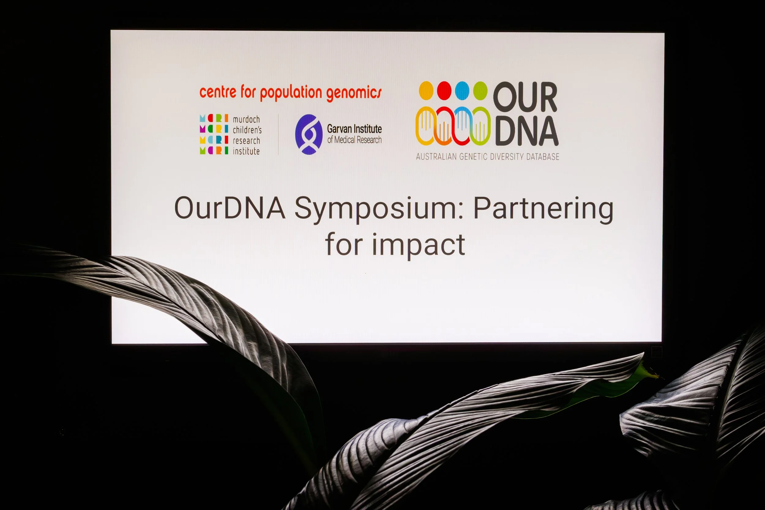 A presentation slide titled 'Our DNA' with logos of research institutes and colorful DNA helix graphics, surrounded by dark leaves.