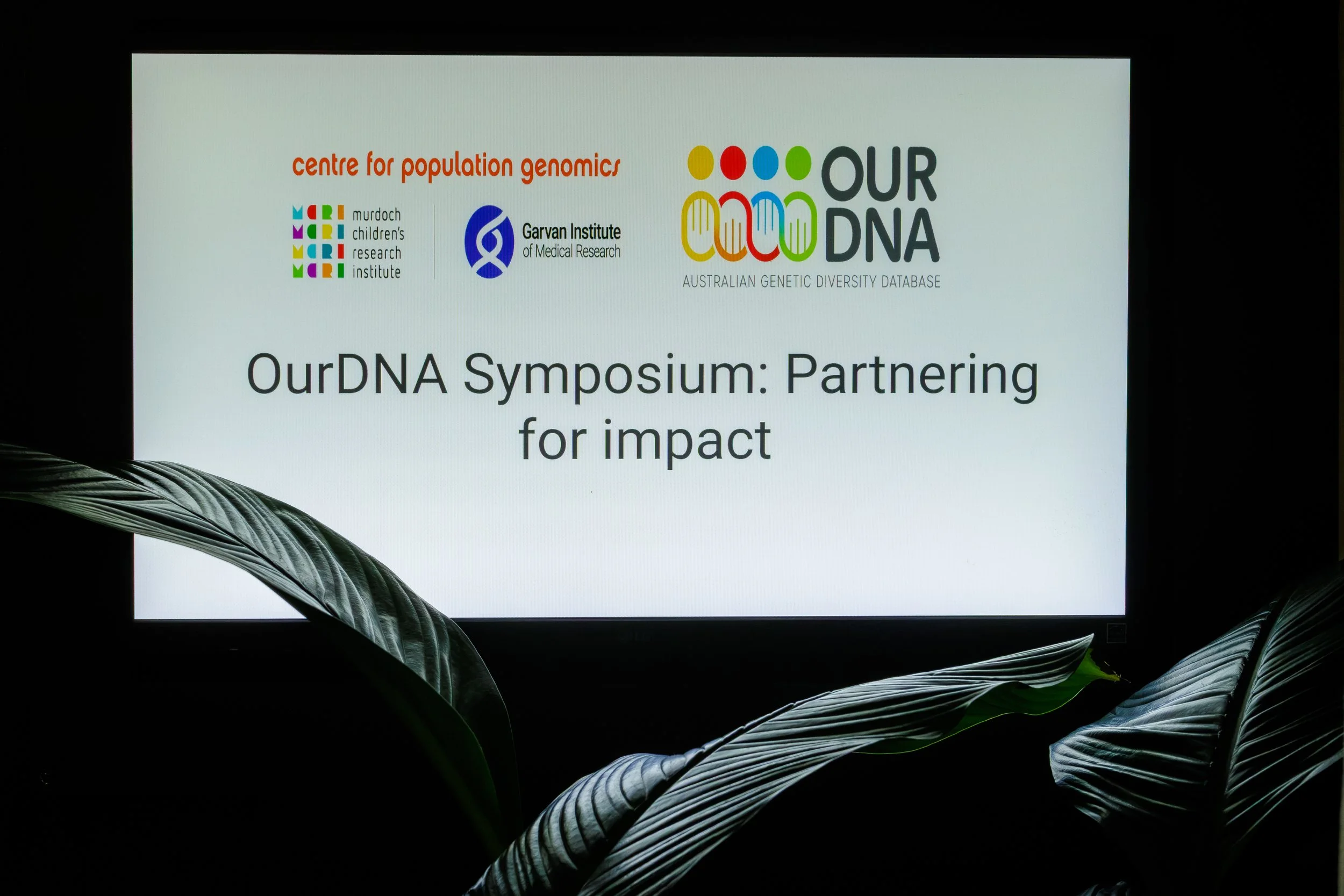 Presentation slide for a genetic diversity symposium, showing logos of the Murdoch Children's Research Institute, Garvan Institute of Medical Research, and OurDNA, with the title "OurDNA Symposium: Partnering for impact" on a white background, partia