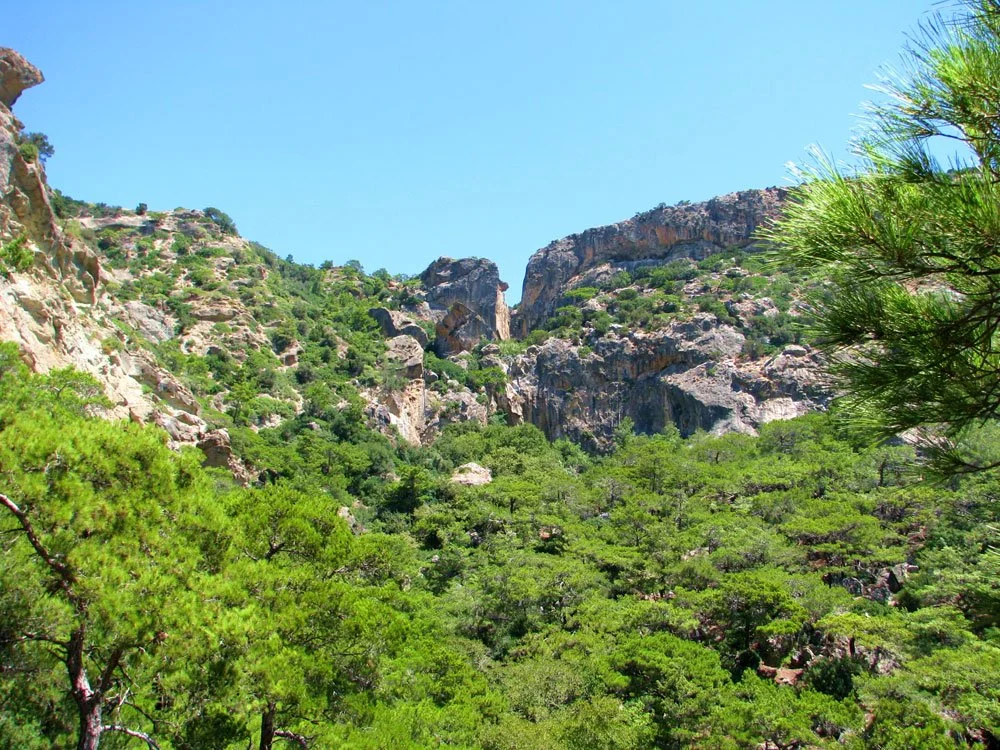 Taxi in Makry Gialos & Ierapetra - A scenic mountain landscape with lush green trees and rocky cliffs under a clear blue sky.