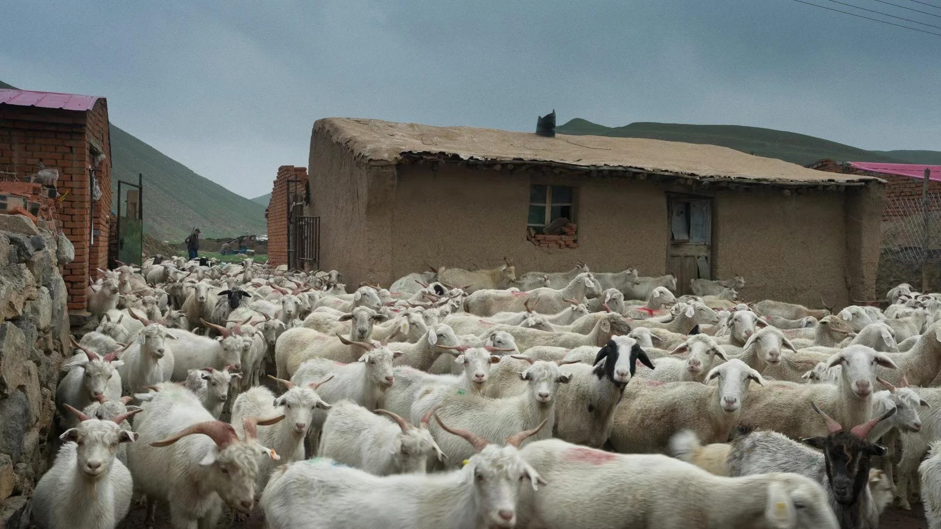 Weixin Image_2026-05-03_214347_081.jpg