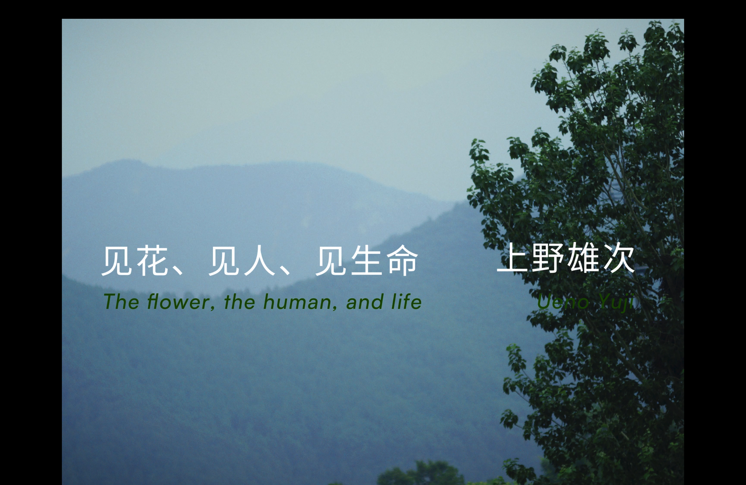 Screenshot 2026-05-06 at 12.42.58 AM.png
