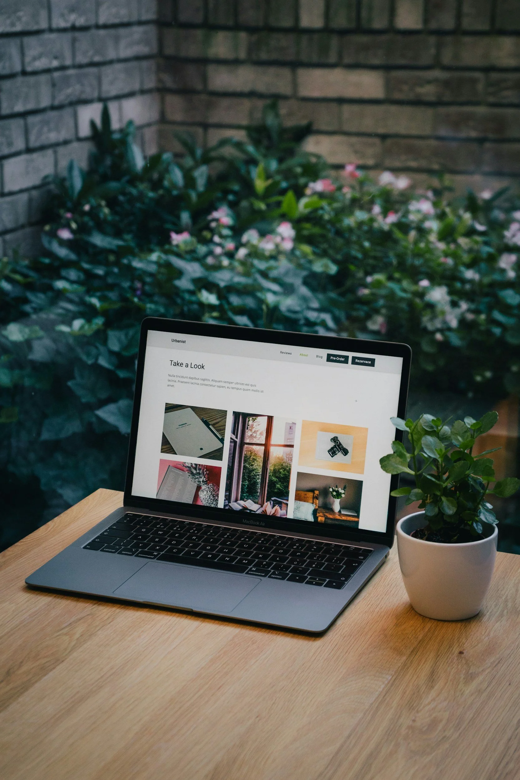 A laptop on a wooden desk displaying a webpage with images and text. Next to the laptop is a potted plant with green leaves. In the background, there are some flowering plants and a brick wall.