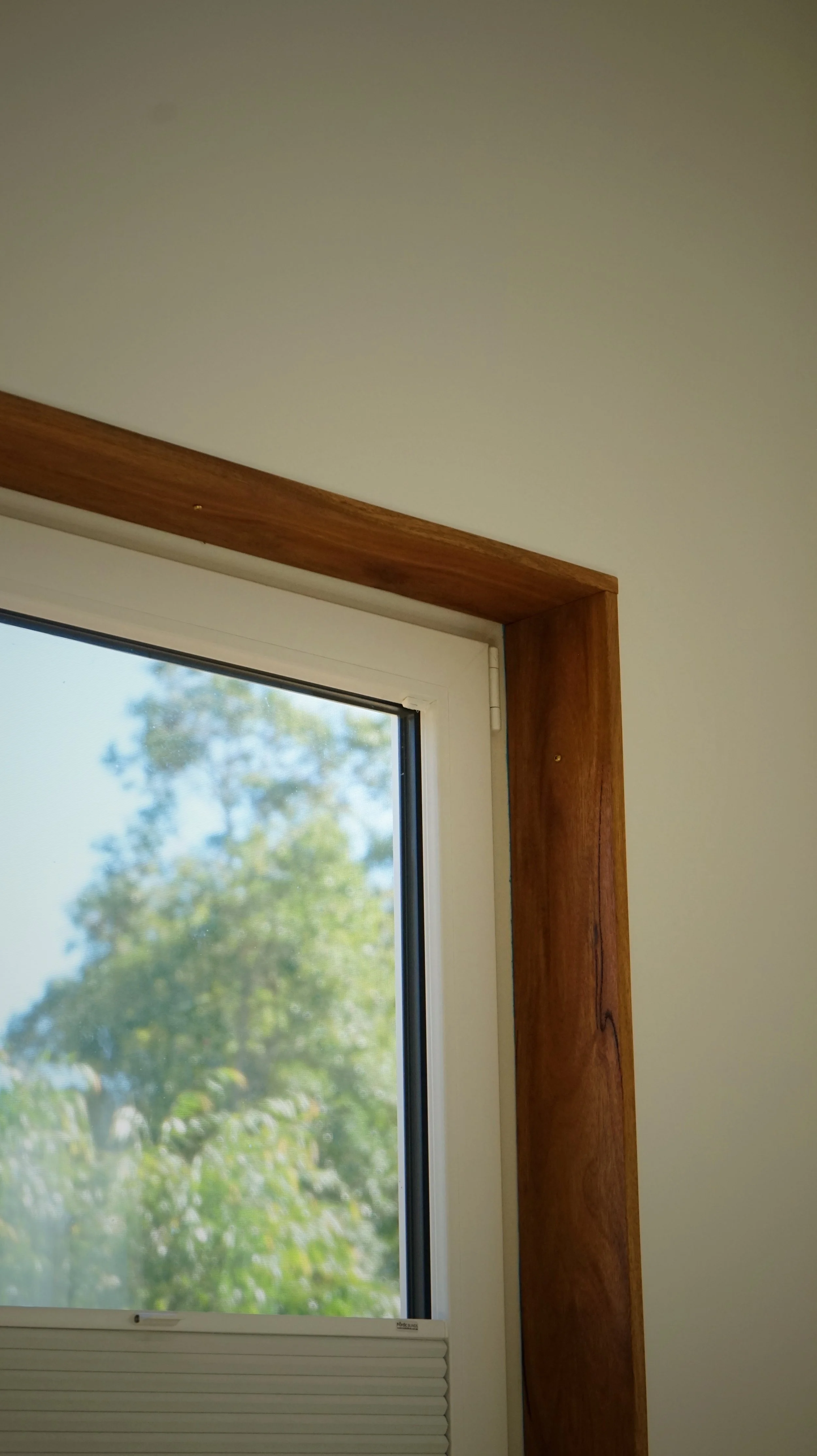 Close-up of a window with a wooden frame, showing trees and sky outside.