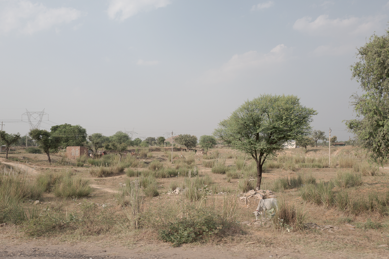 Paysage rural avec arbres dispersés, végétation sèche, petites constructions en briques, pylônes électriques, ciel clair avec quelques nuages.