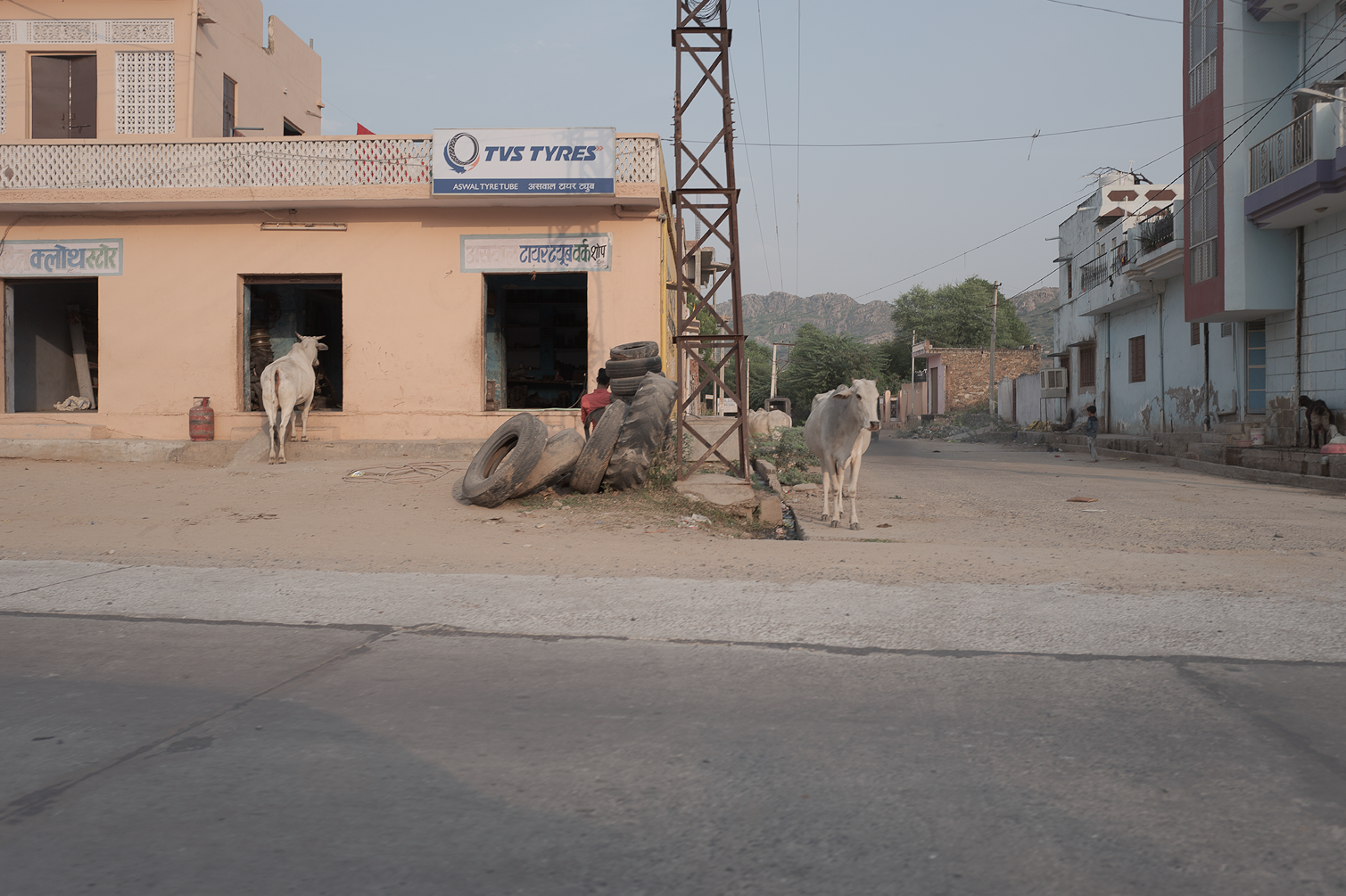 Vue d'une rue tranquille avec des bâtiments, des vaches blanches, un poteau électrique, et des pneus empilés. Fond de montagnes et ciel clair.