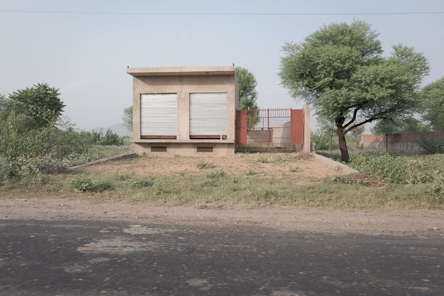 Petite maison en béton avec volets roulants fermés, entourée de végétation et un arbre à droite, vue depuis la route en première plan.