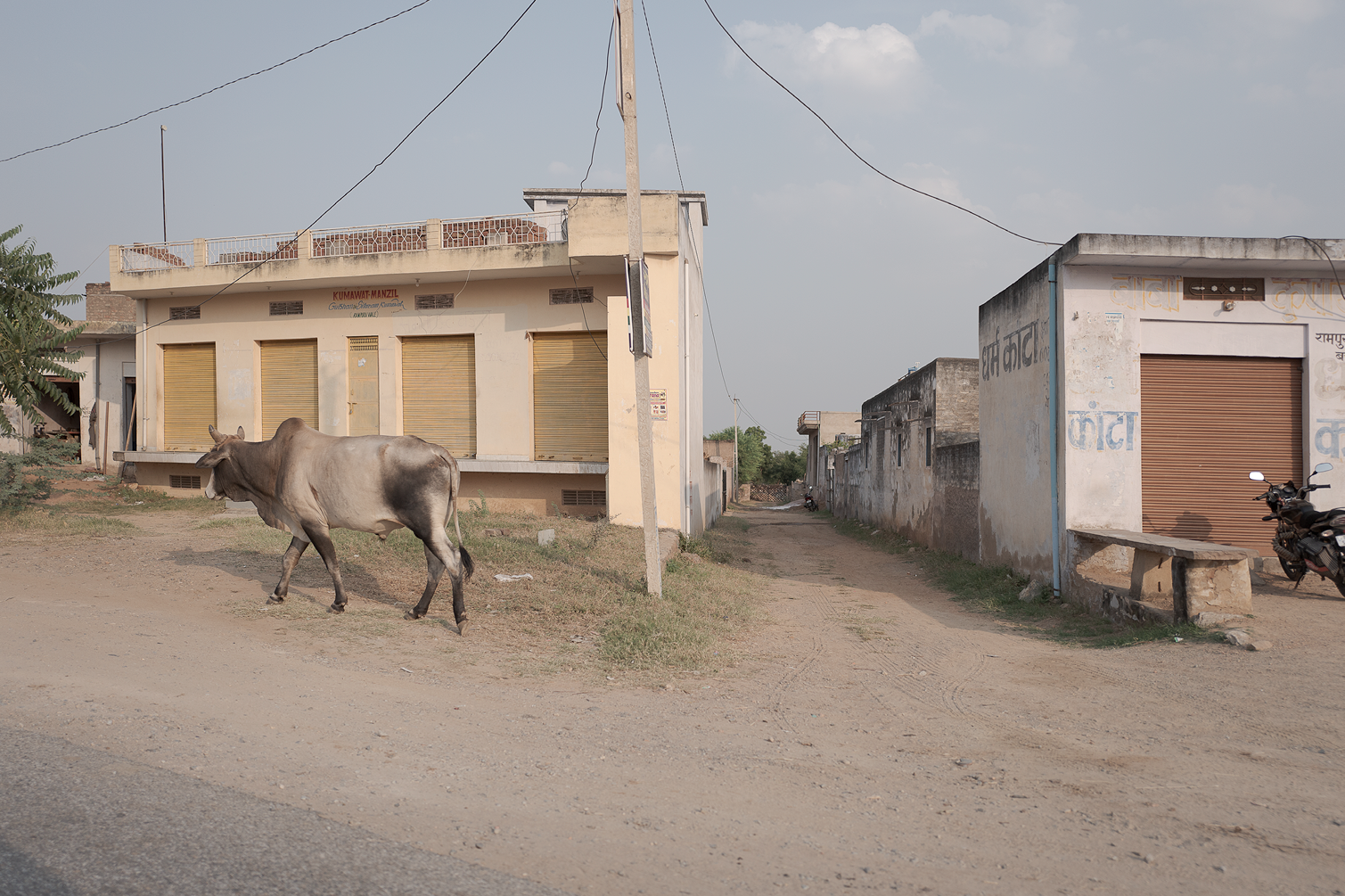 Rue de village avec bâtiment en arrière-plan, vache marchant sur un chemin de terre, moto garée devant un bâtiment à droite.