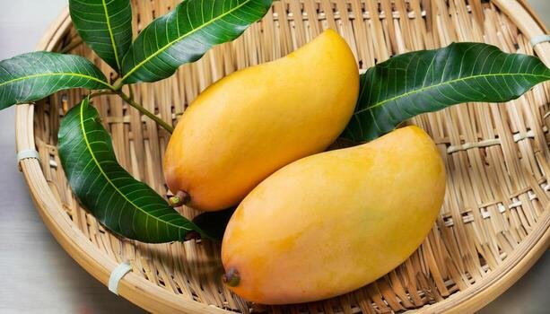 Mango