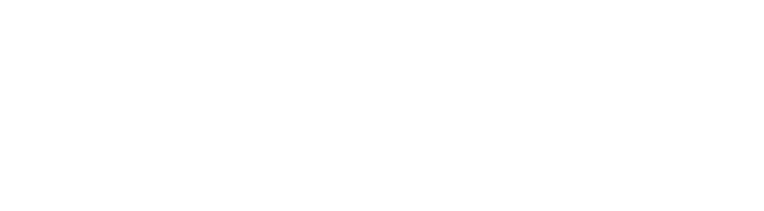 The Swimmers Web Shop
