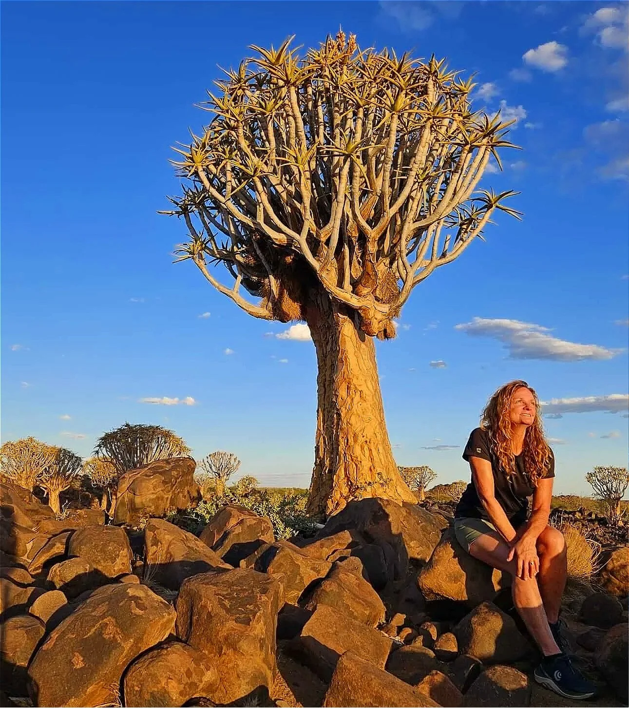 Woman sitting beneath a giant quiver tree at sunset in Namibia’s rocky desert landscape.