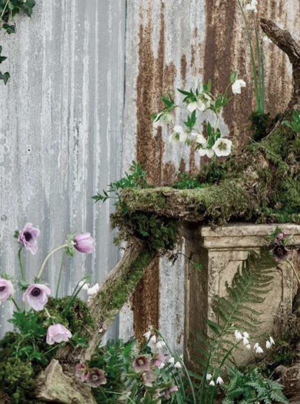 Flowers growing on a moss-covered stone ledge in front of a rusted, weathered metal wall.