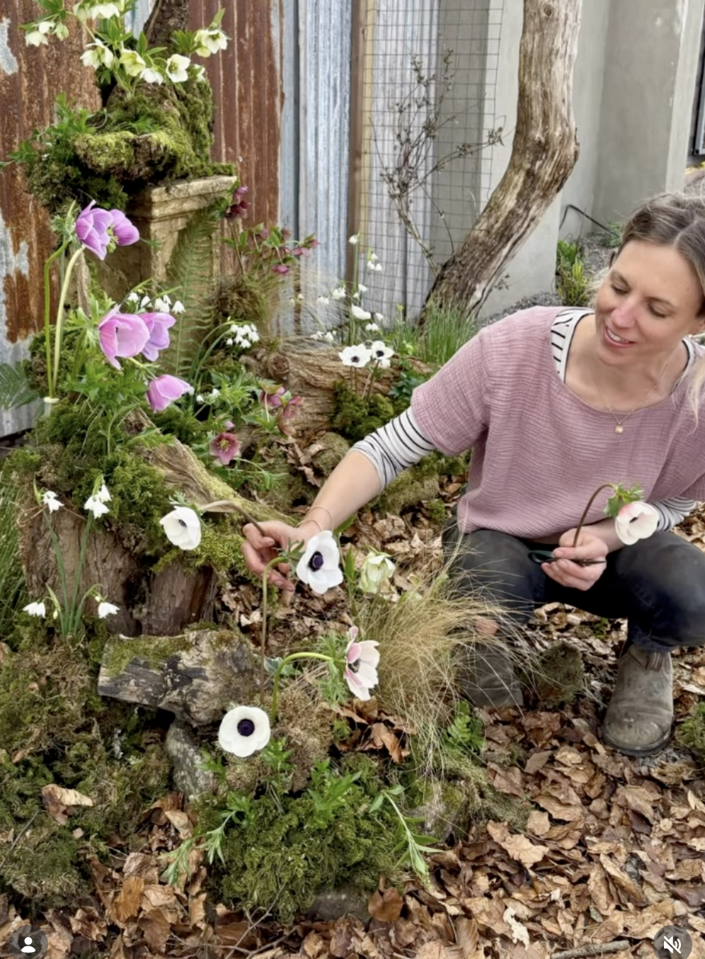 A woman kneeling beside a moss-covered log garden, planting and arranging various flowers, including white, pink, and purple anemones, in a garden setting with fallen leaves and a tree trunk also visible.