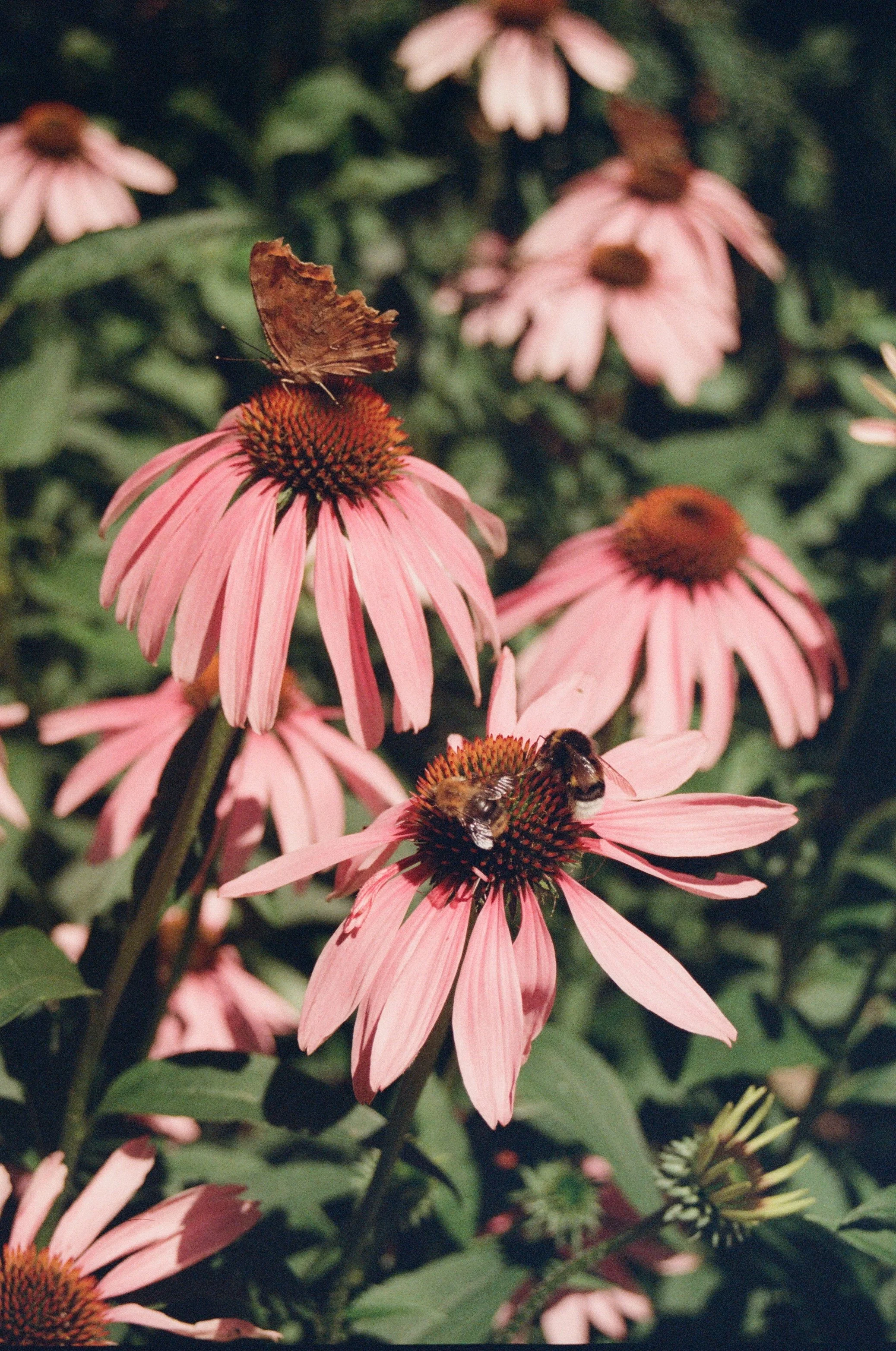 poetic-softness-03.jpg