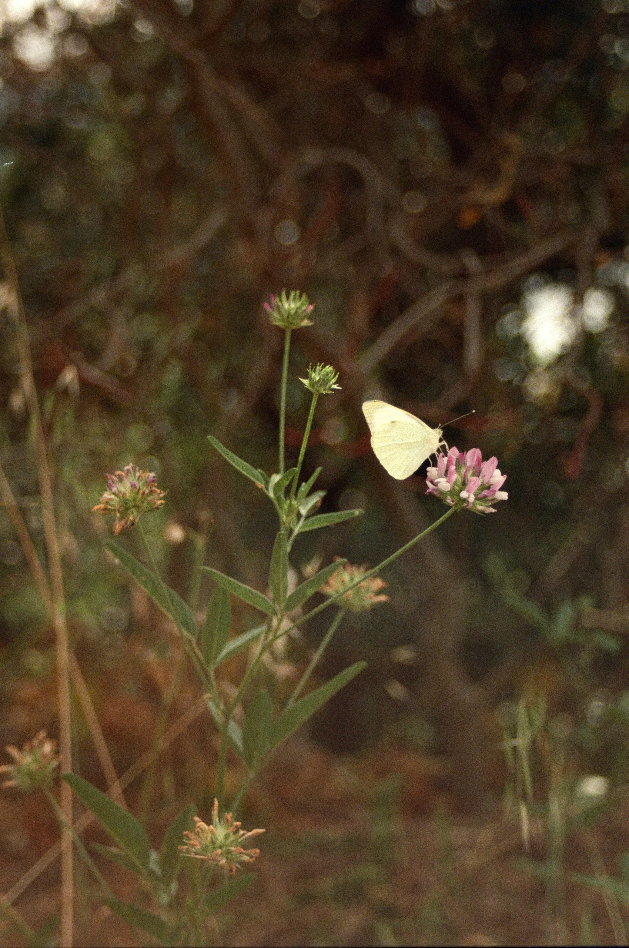 poetic-softness-02.jpg