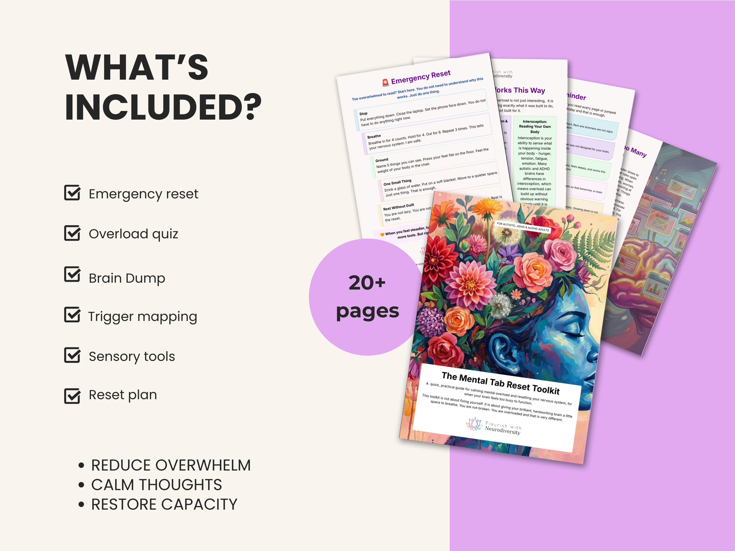 2 - What is included - second thumbnail mental tab reset.png