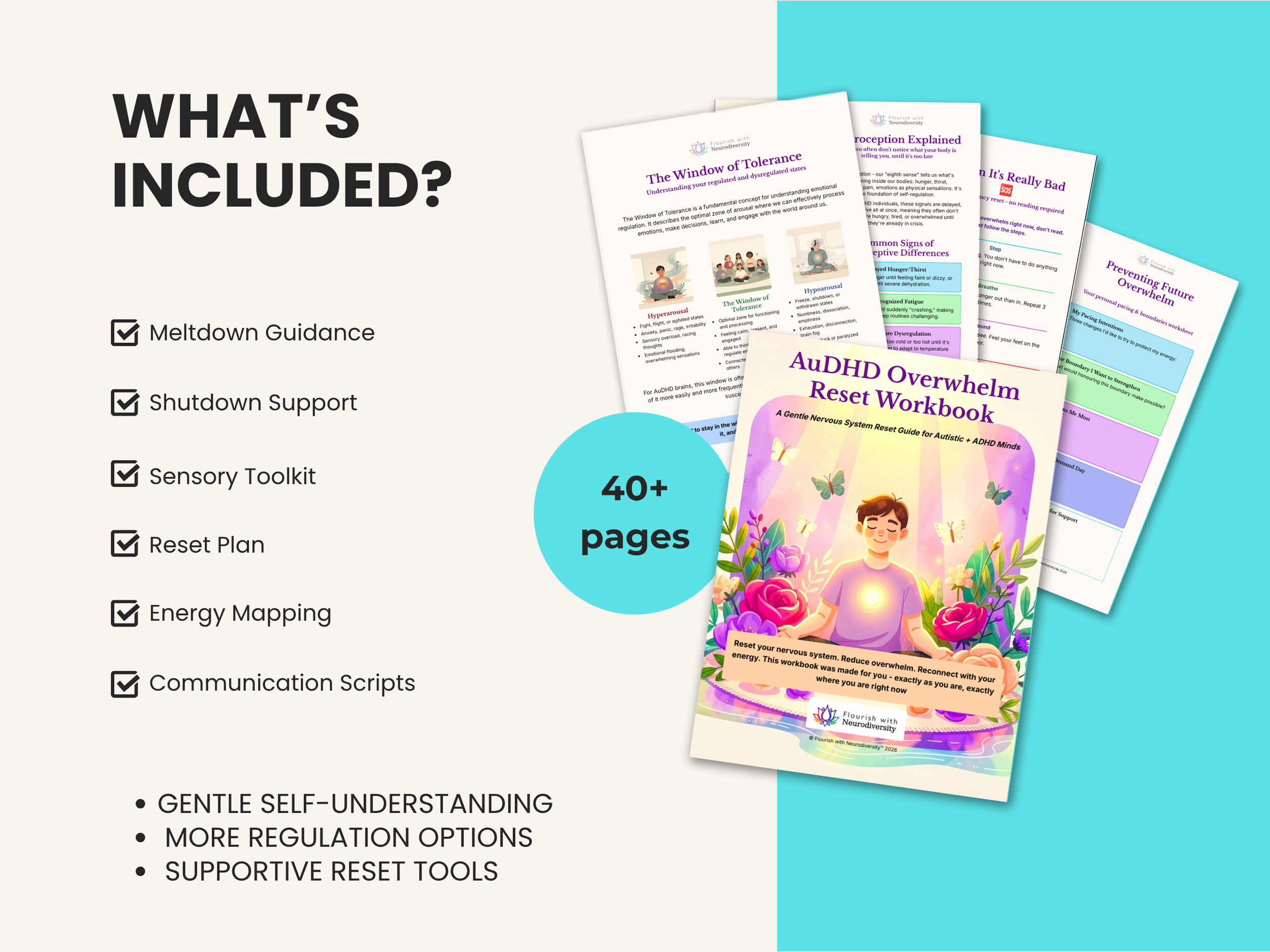 2 - What is included - second thumbnail  (10).png