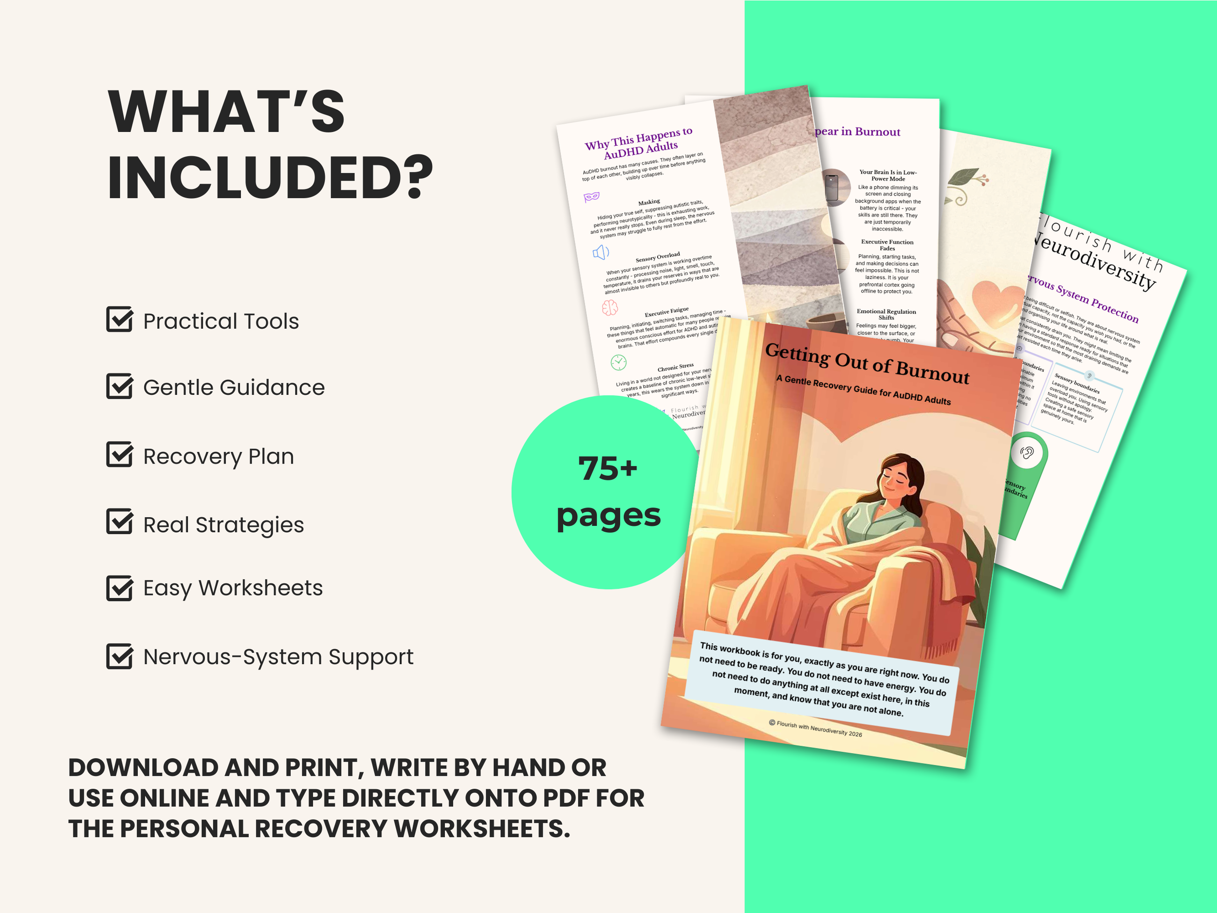 2 - What is included - second thumbnail burnout.png