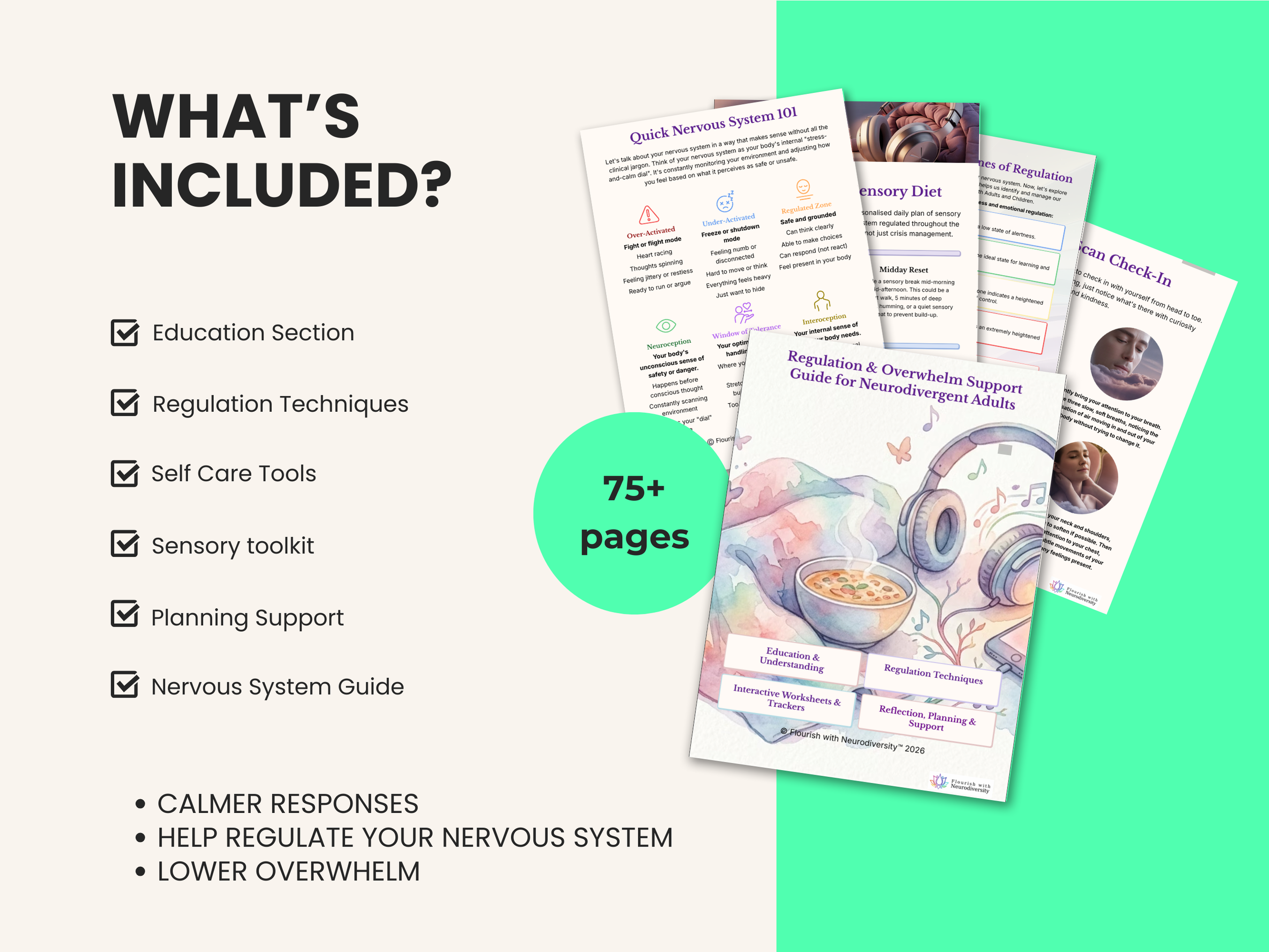 2 - What is included - second thumbnail regulation and overwhelm.png