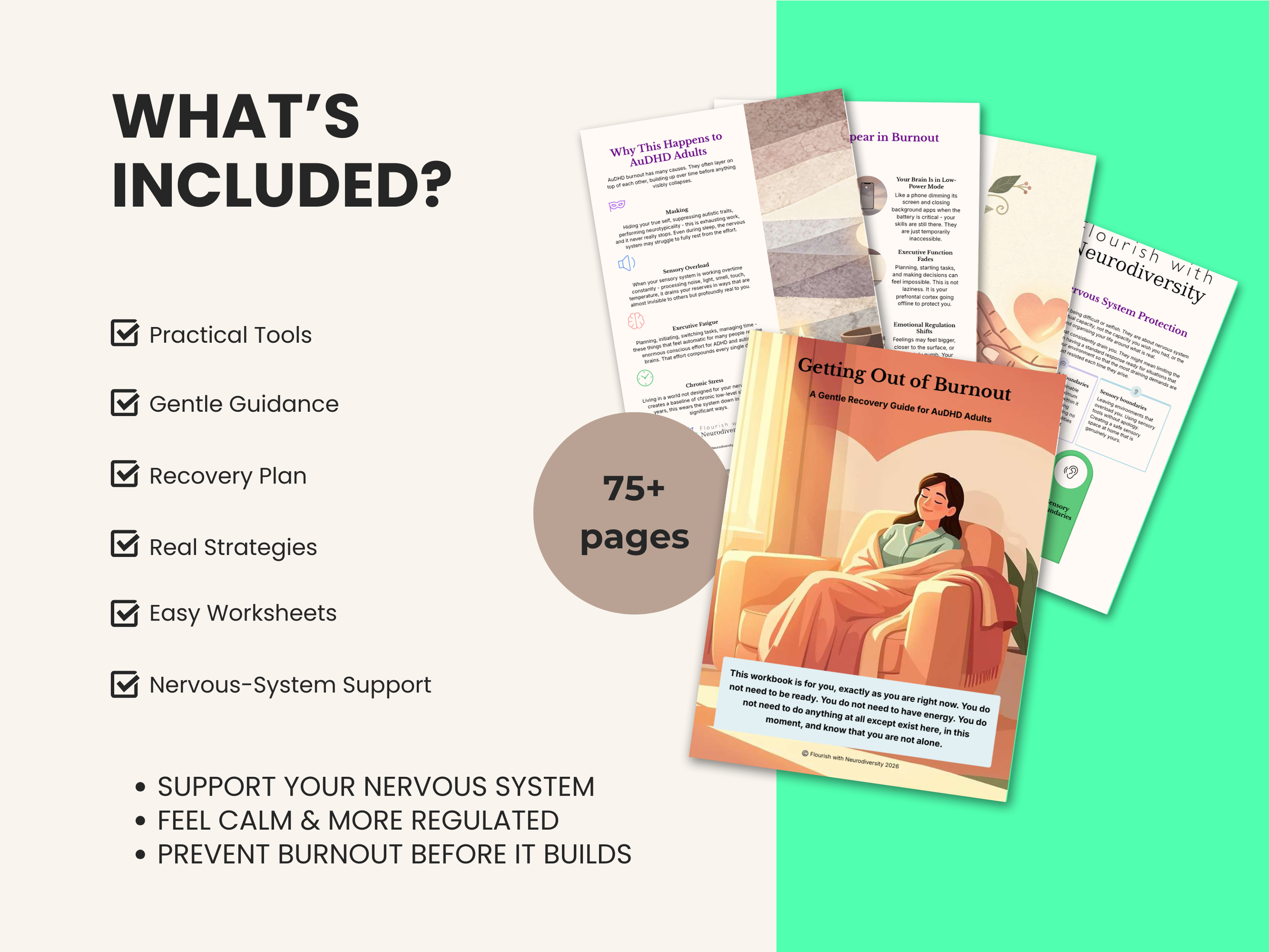 2 - What is included - second thumbnail burnout.png