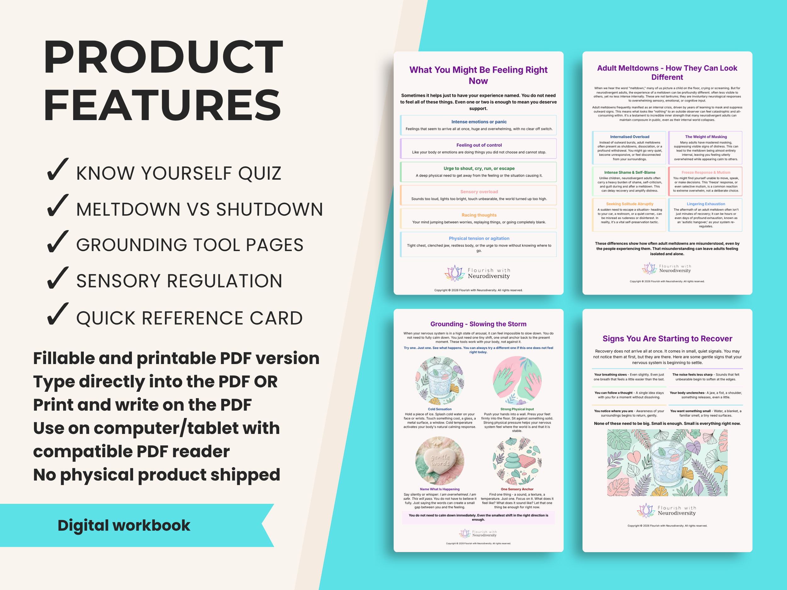 3- Product Features .png