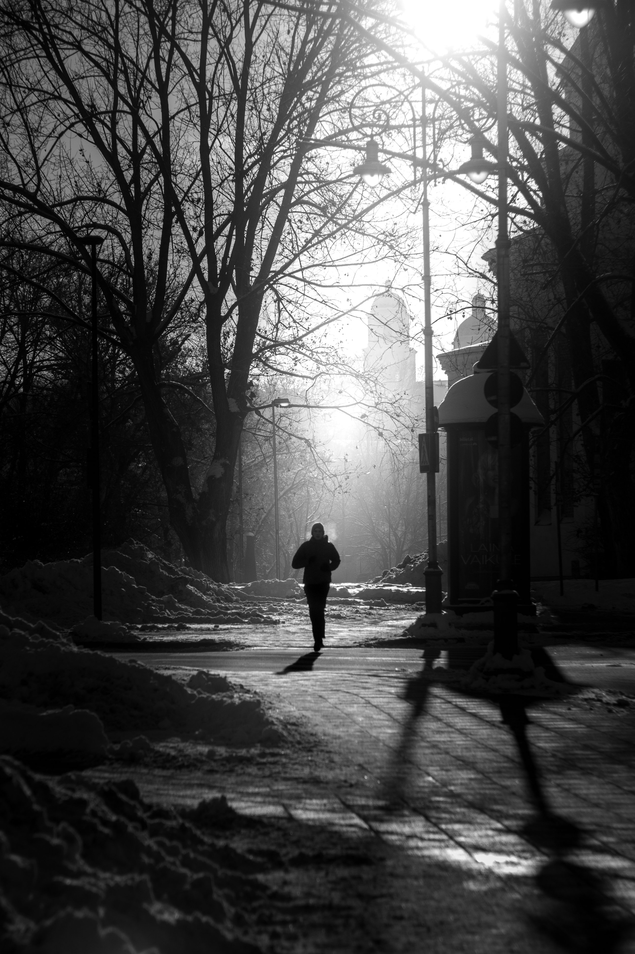 A person walking on a sidewalk in winter with snow, bare trees, street lamps, and a building with a dome in the background. The sun is shining through the trees.