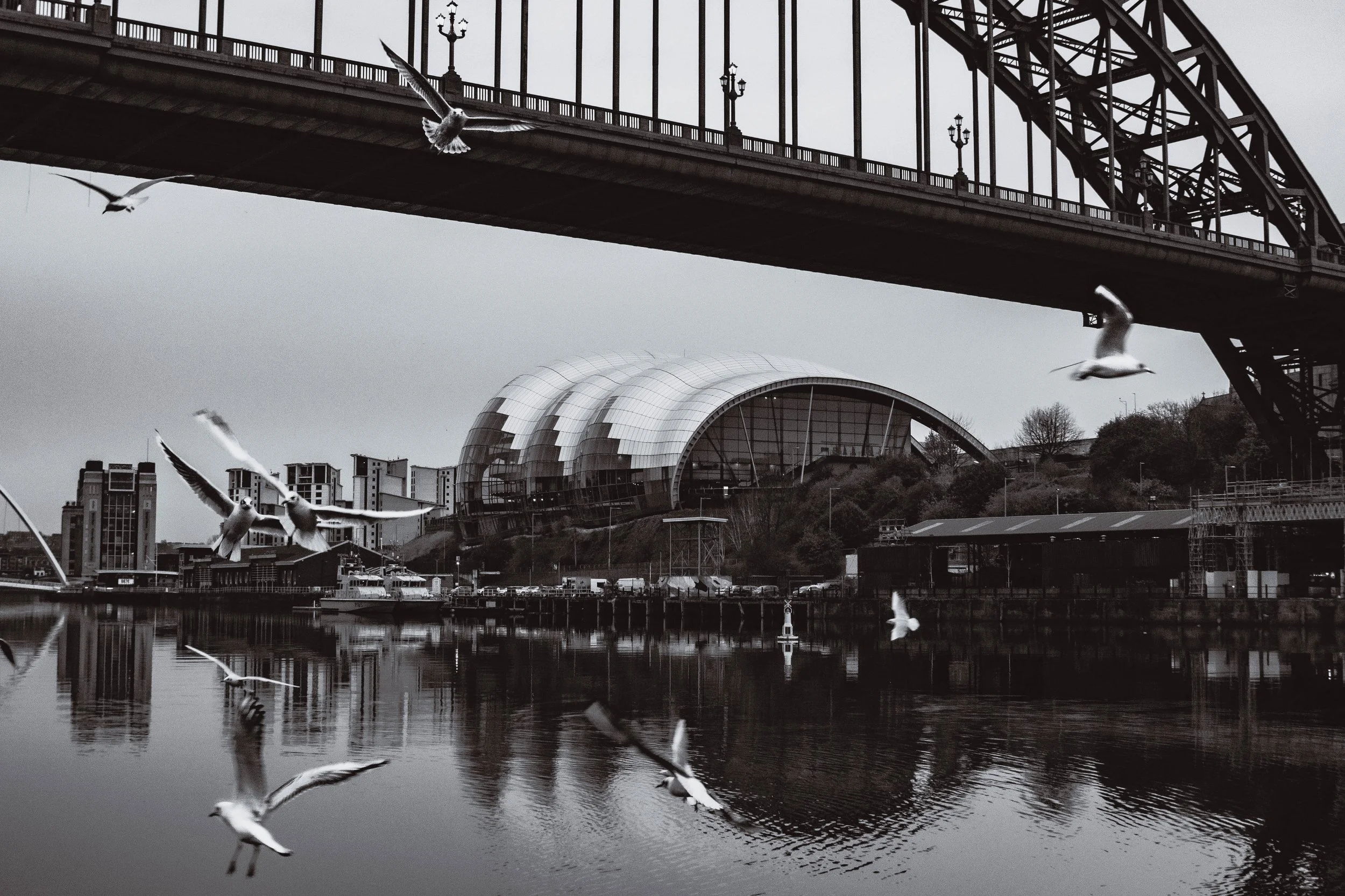 A black and white photo of a cityscape featuring a bridge, a modern building with a curved glass roof, and seagulls flying over a body of water.