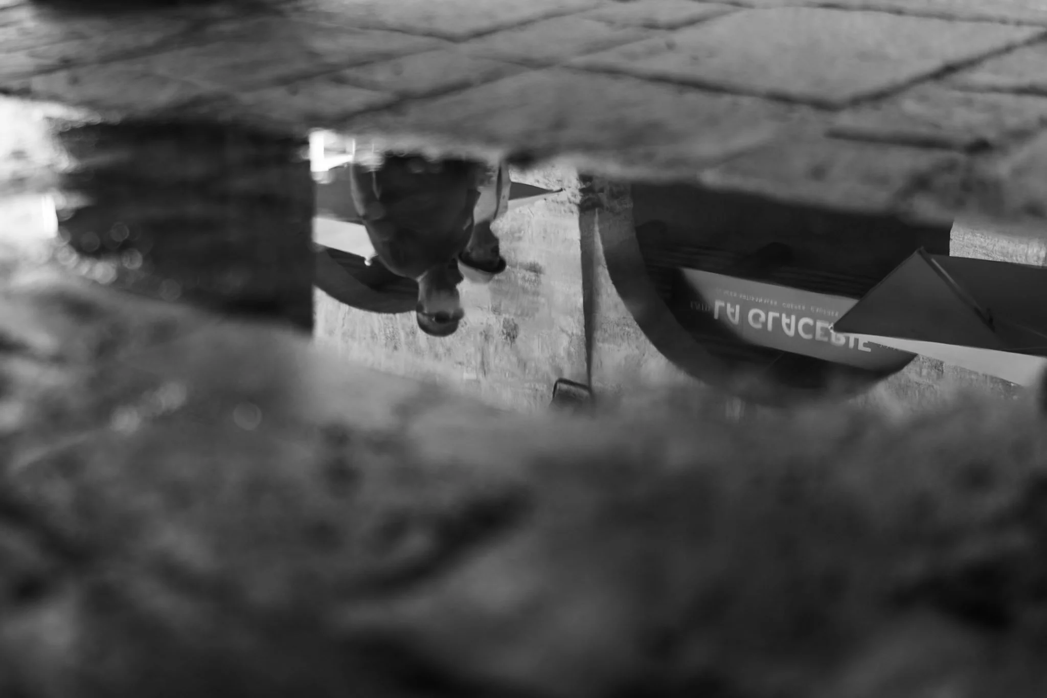 _DSC0819.jpg