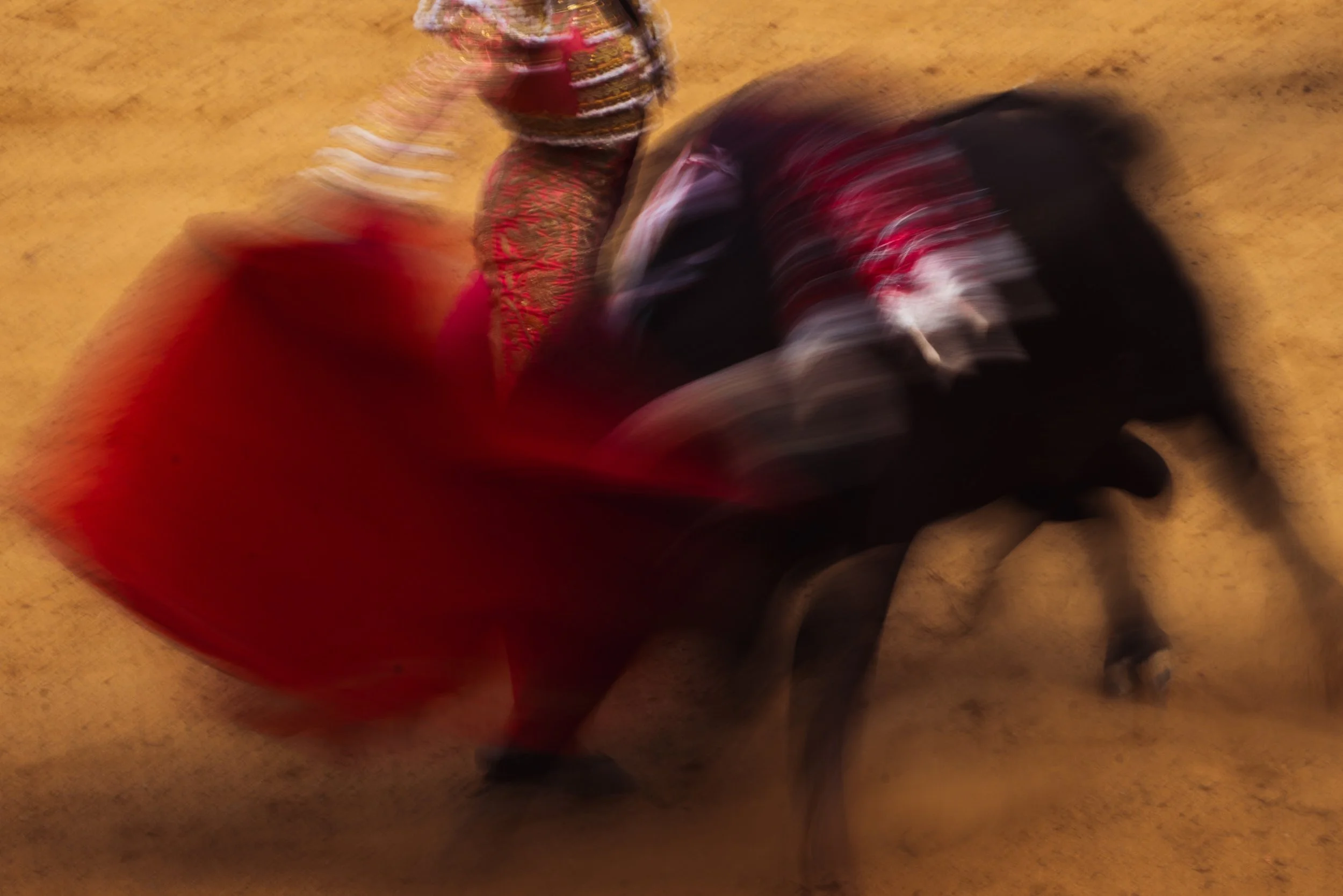 DSC08182(4).jpg
