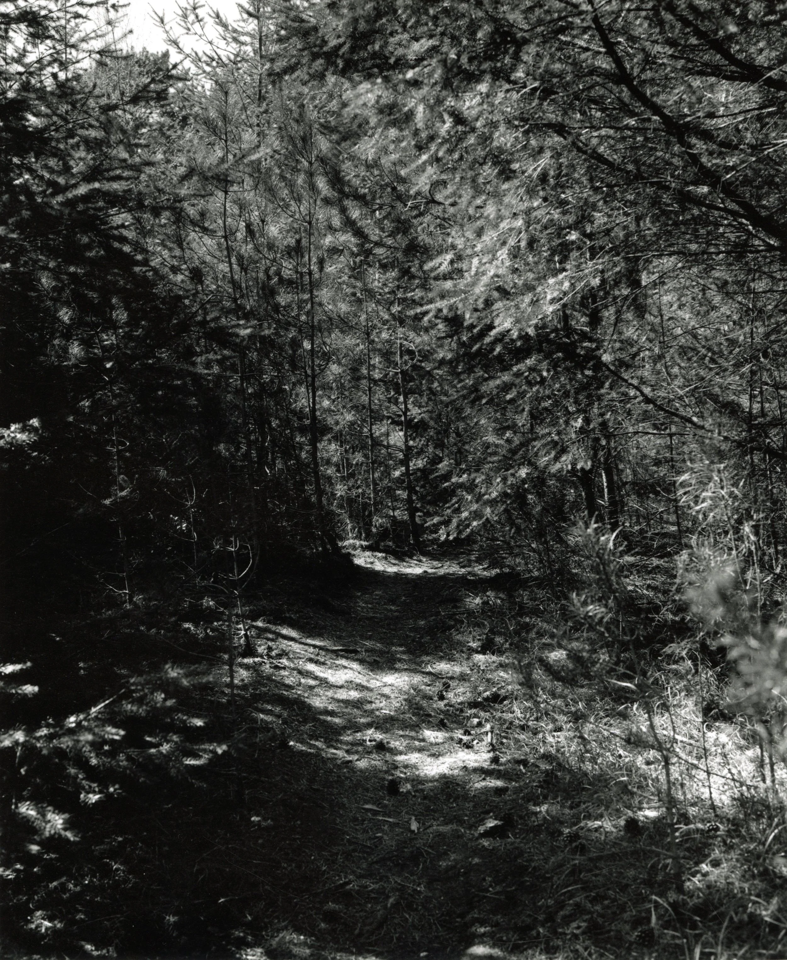 Where Quiet Begins