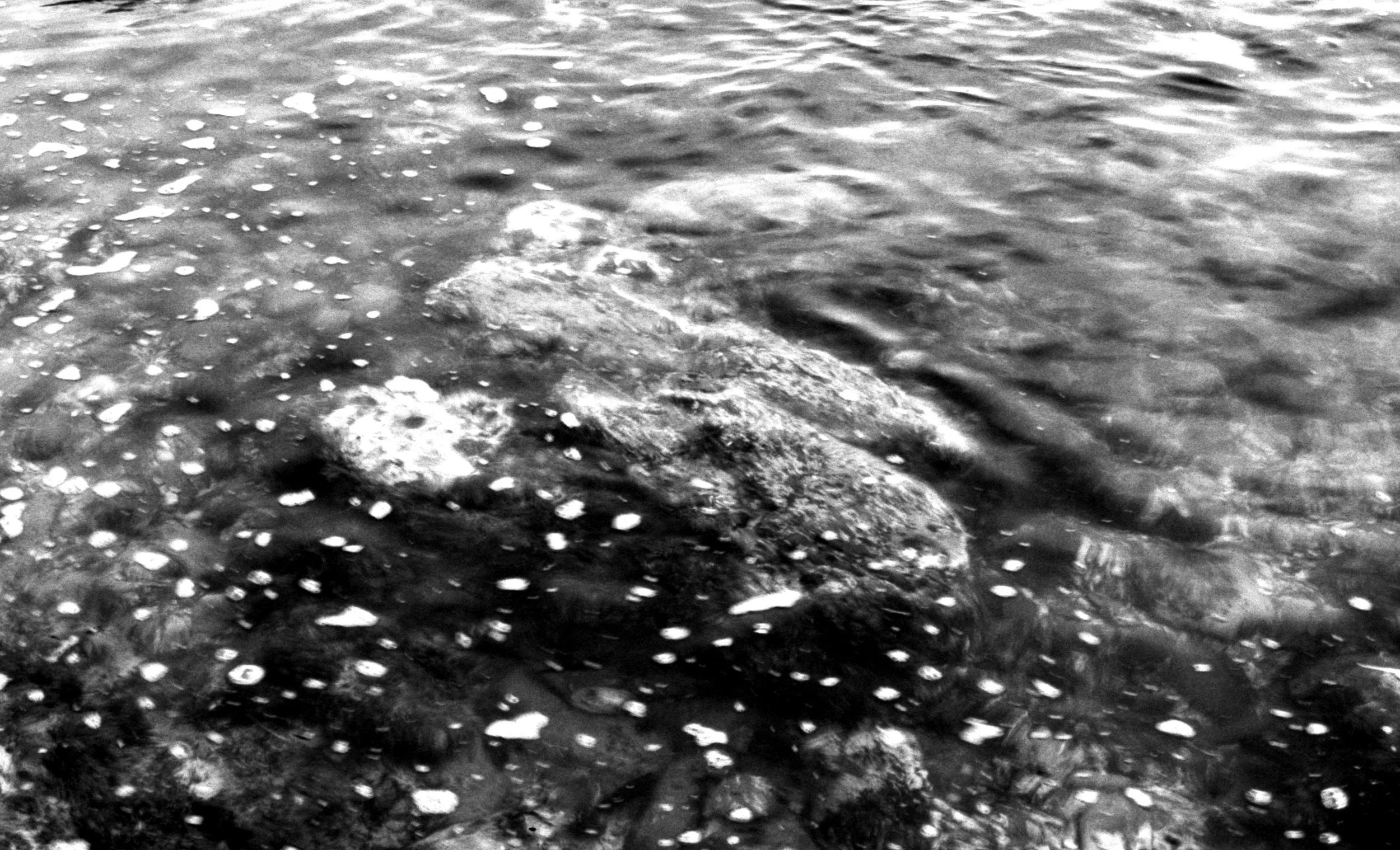 img20251013_10590023 copy.jpg