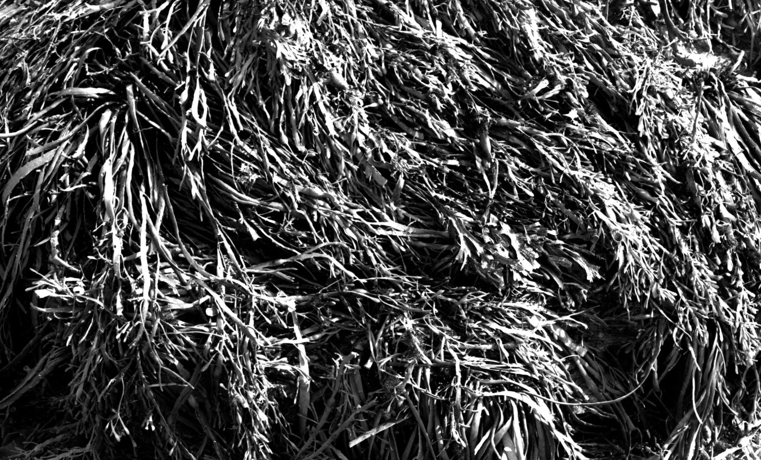 img20251013_10513358 copy.jpg