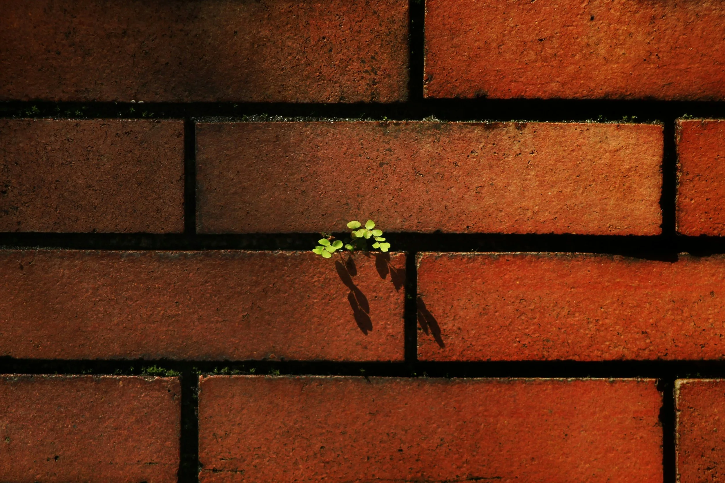 Breaking Through the Wall