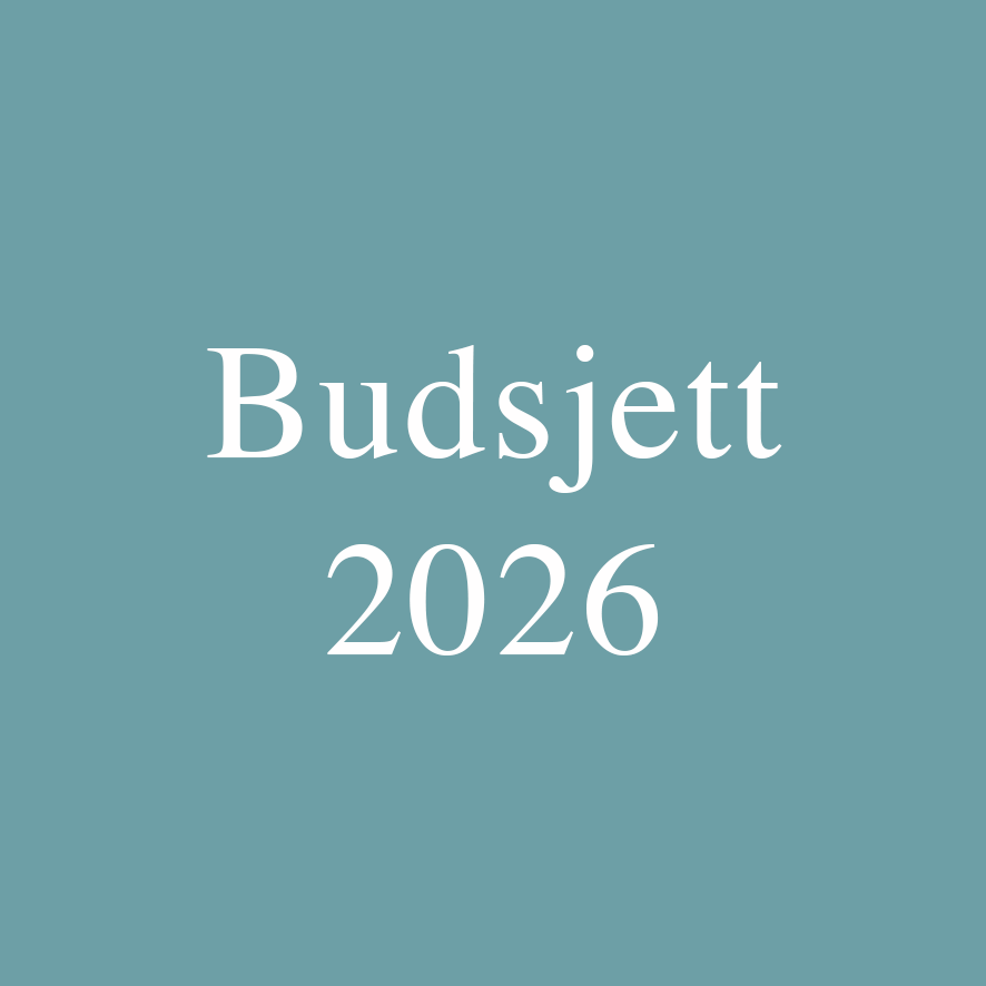 Budsjett 2026
