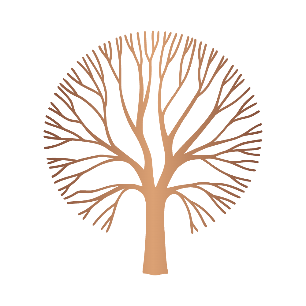 A simplified, stylized illustration of a tree with a single brown trunk and large, fan-shaped leaves in shades of brown.