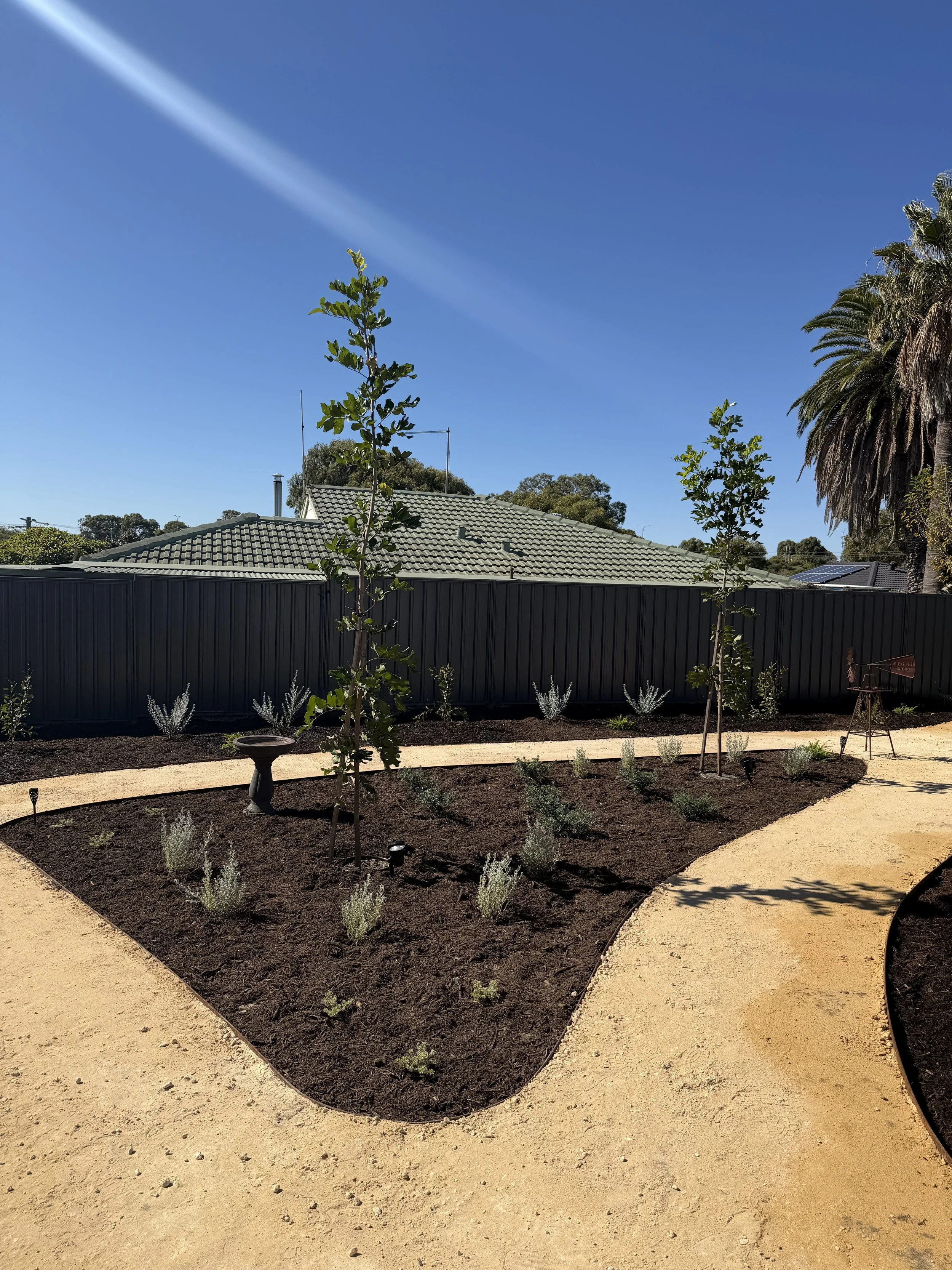 A landscaped backyard garden with new plants, young trees, and small shrubs bordered by a black fence. A birdbath is visible near the center, and a winding light-colored gravel pathway curves through the garden. In the background, houses with tiled roofs and mature trees under a clear blue sky.